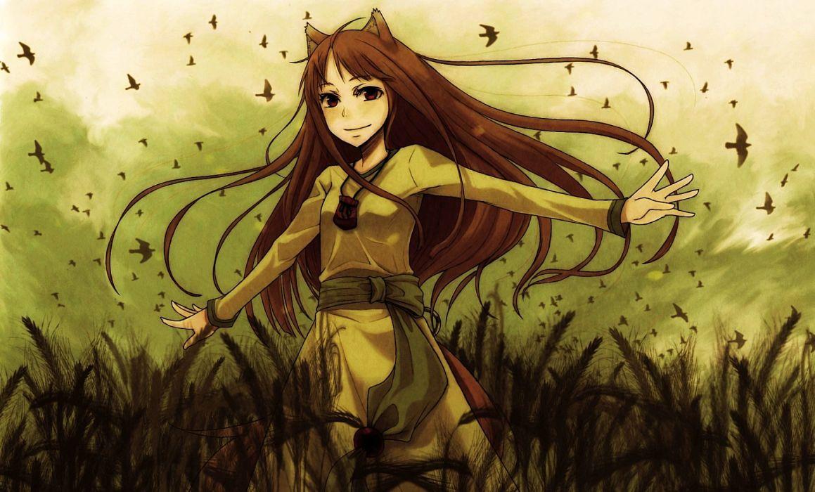 Holo Spice And Wolf Wallpapers Top Free Holo Spice And Wolf Backgrounds Wallpaperaccess