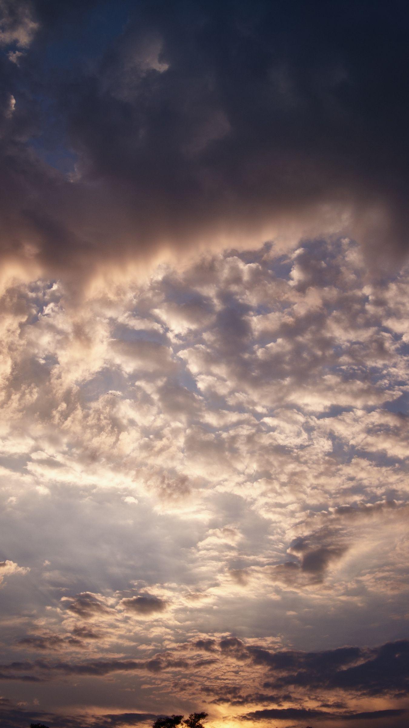 1350x2400 Download wallpaper 1350x2400 clouds, evening, cloudy, sky