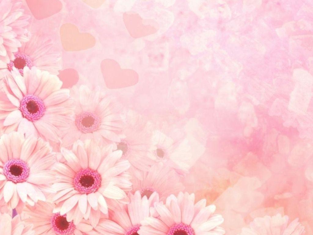 Pink Wallpapers - Top Free Pink Backgrounds - WallpaperAccess
