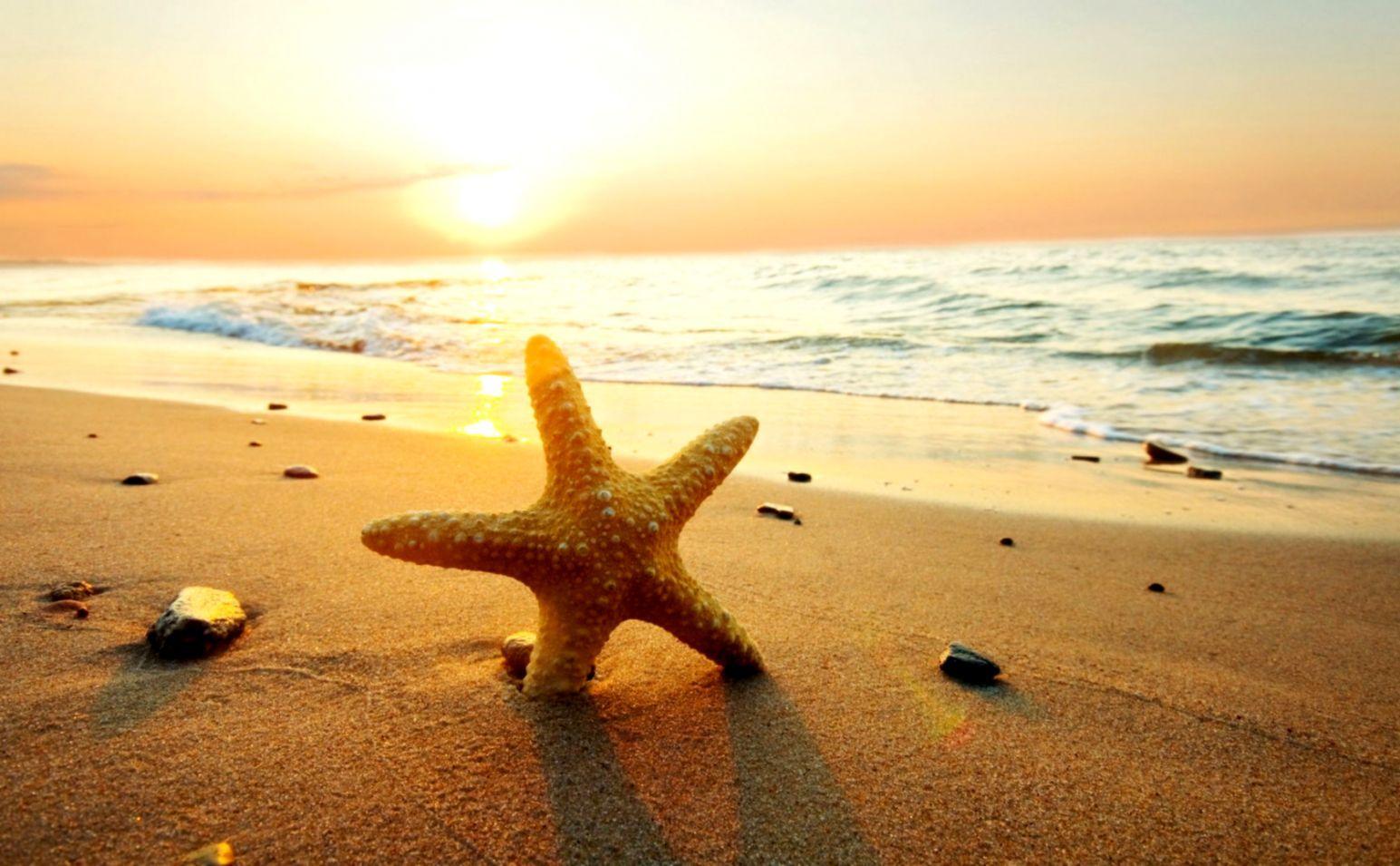 1545x955 Sea Star Starfish Child Mood Beach HD Wallpaper. Link