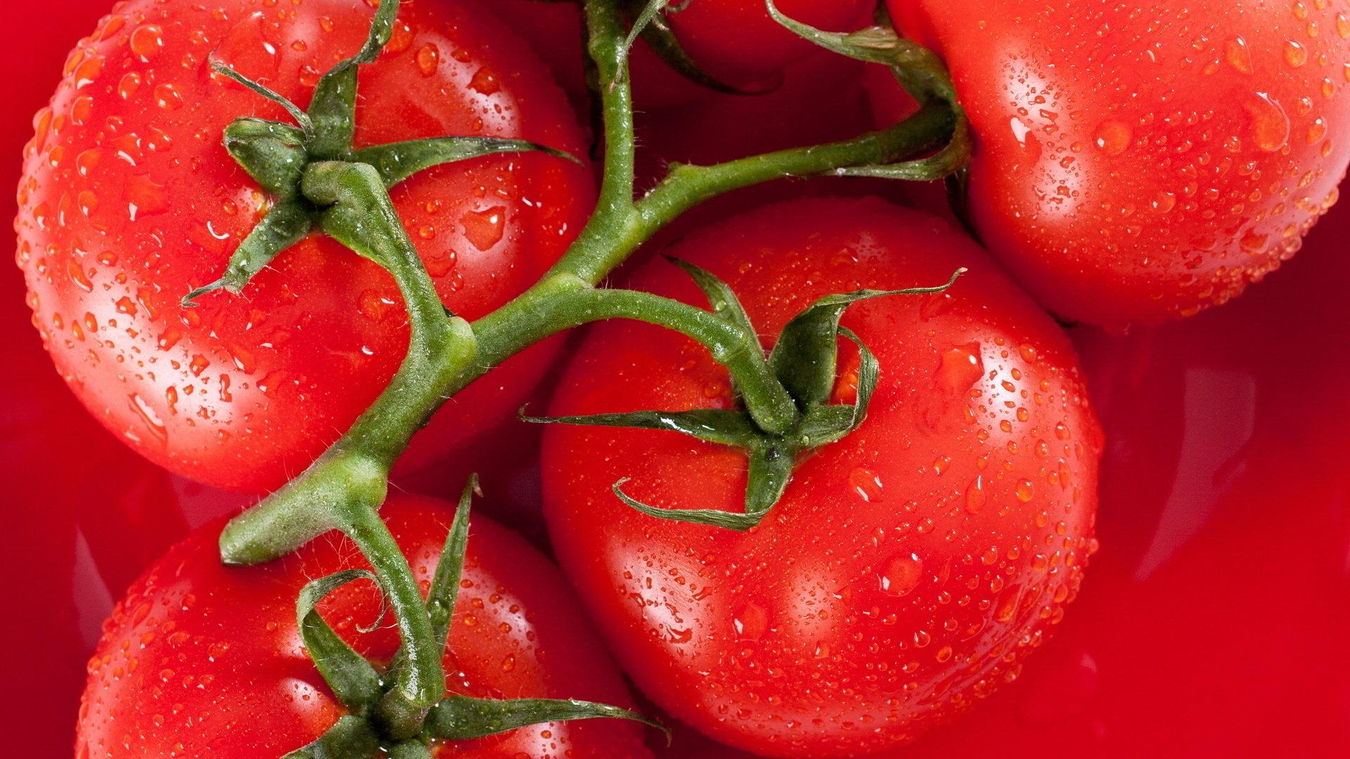1920x1080 Tomato wallpaper 1920x1080 Full HD (1080p) desktop background