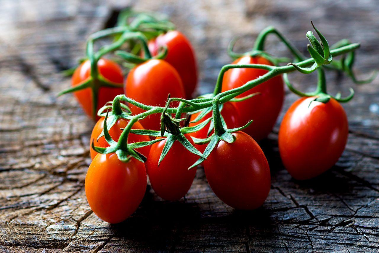 Tomato Wallpapers - Top Free Tomato Backgrounds - WallpaperAccess