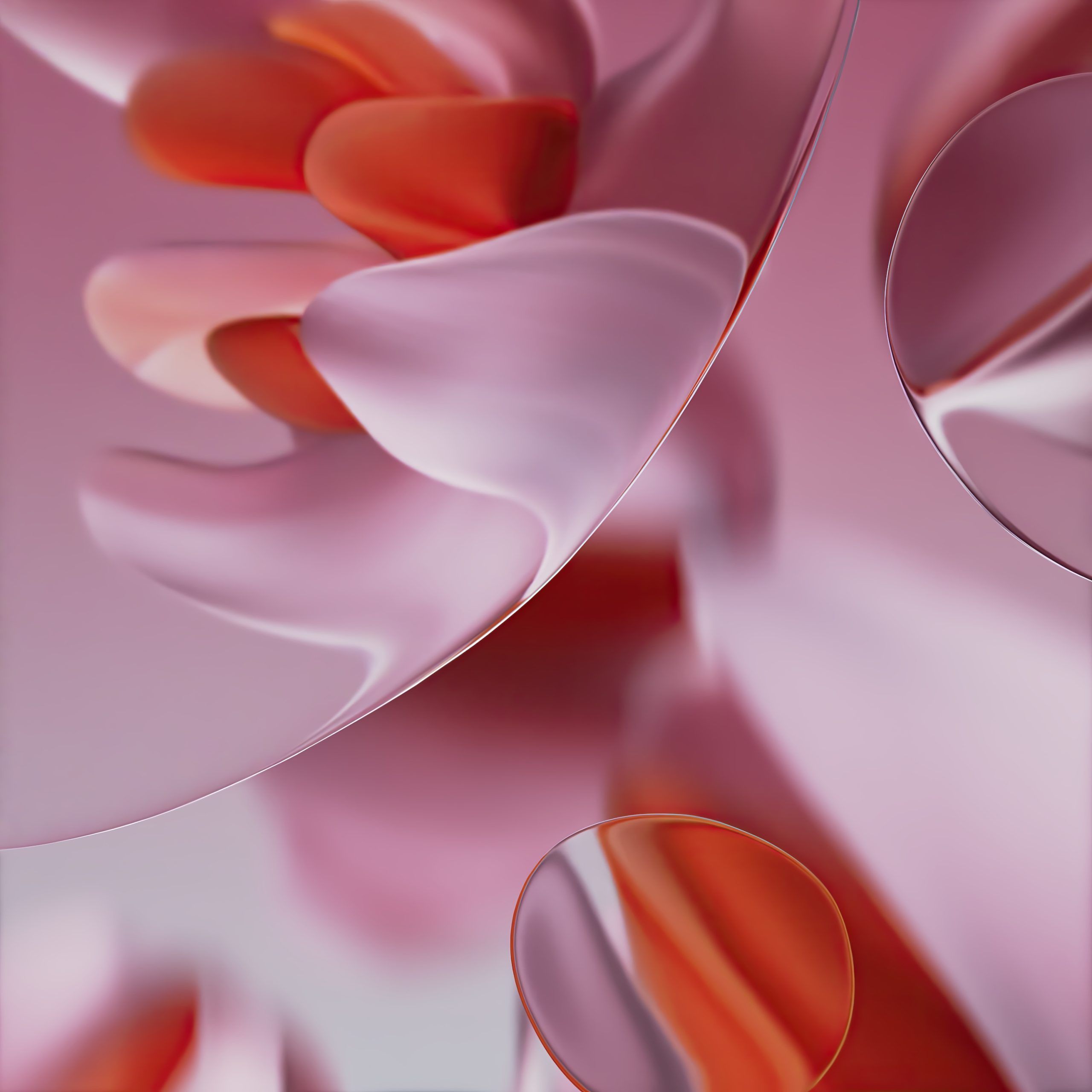 2560x2560 Google Pixel 9 Series Color Variants