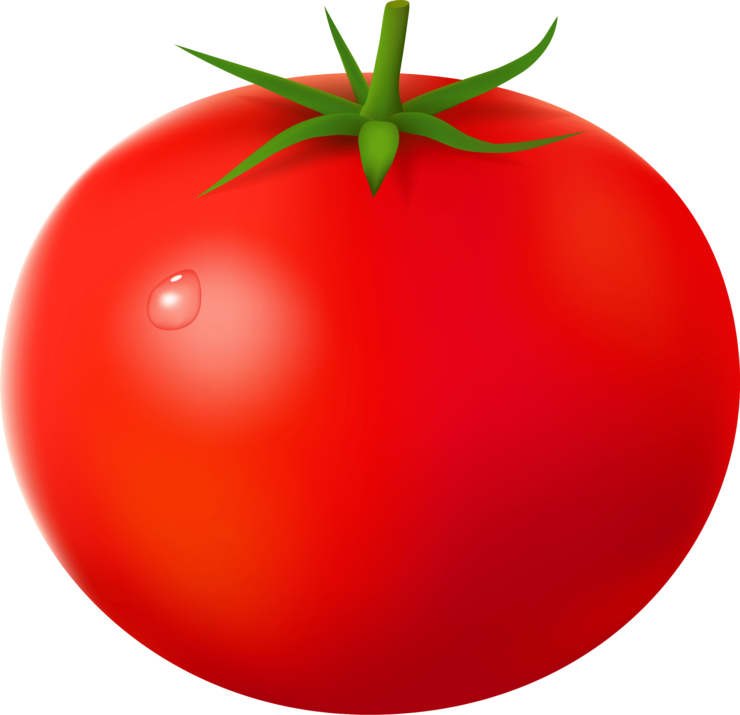 2576x2491 Tomato PNG image free download