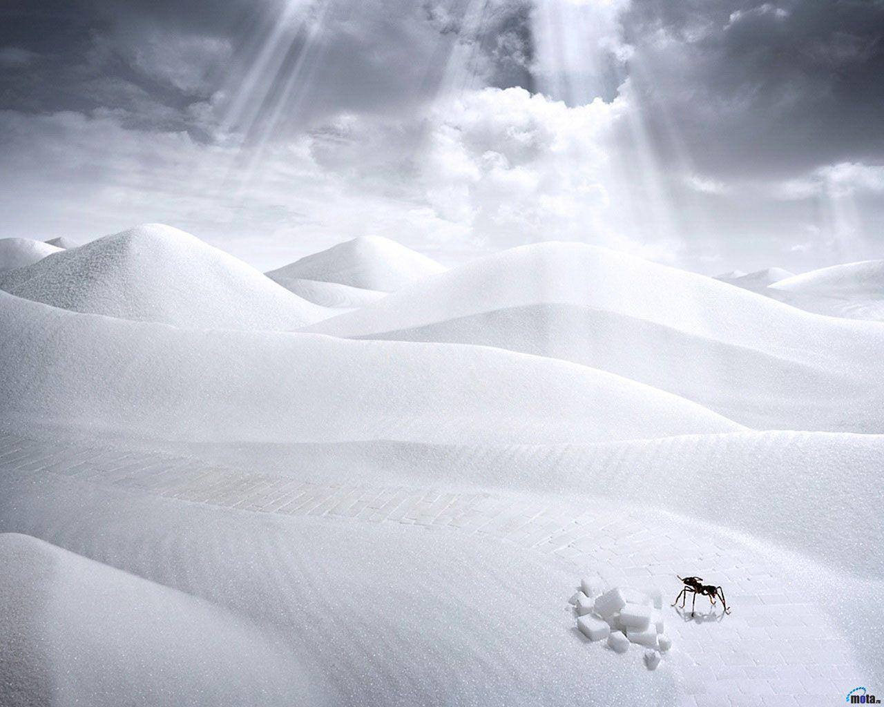 1280x1024 Download Wallpaper clouds white sugar ant, 1280x Ant