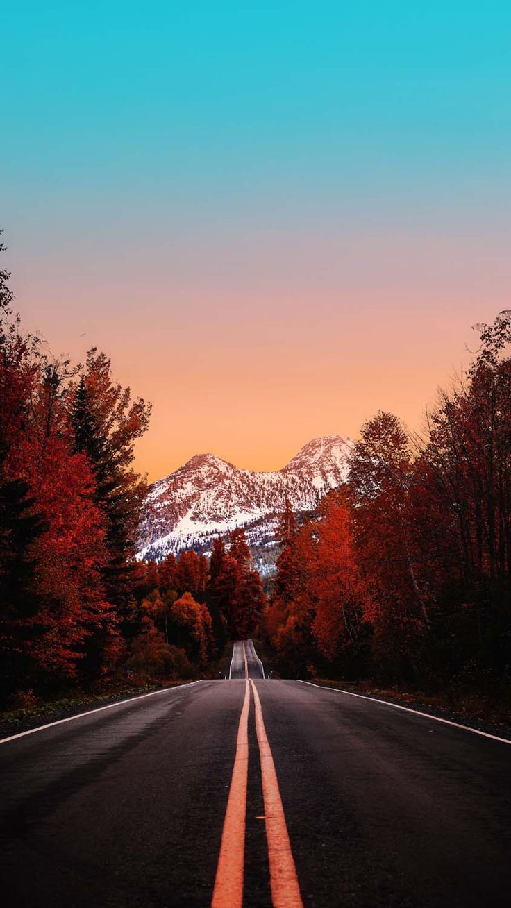 736x1308 Autumn Road Canada iPhone Wallpaper HD