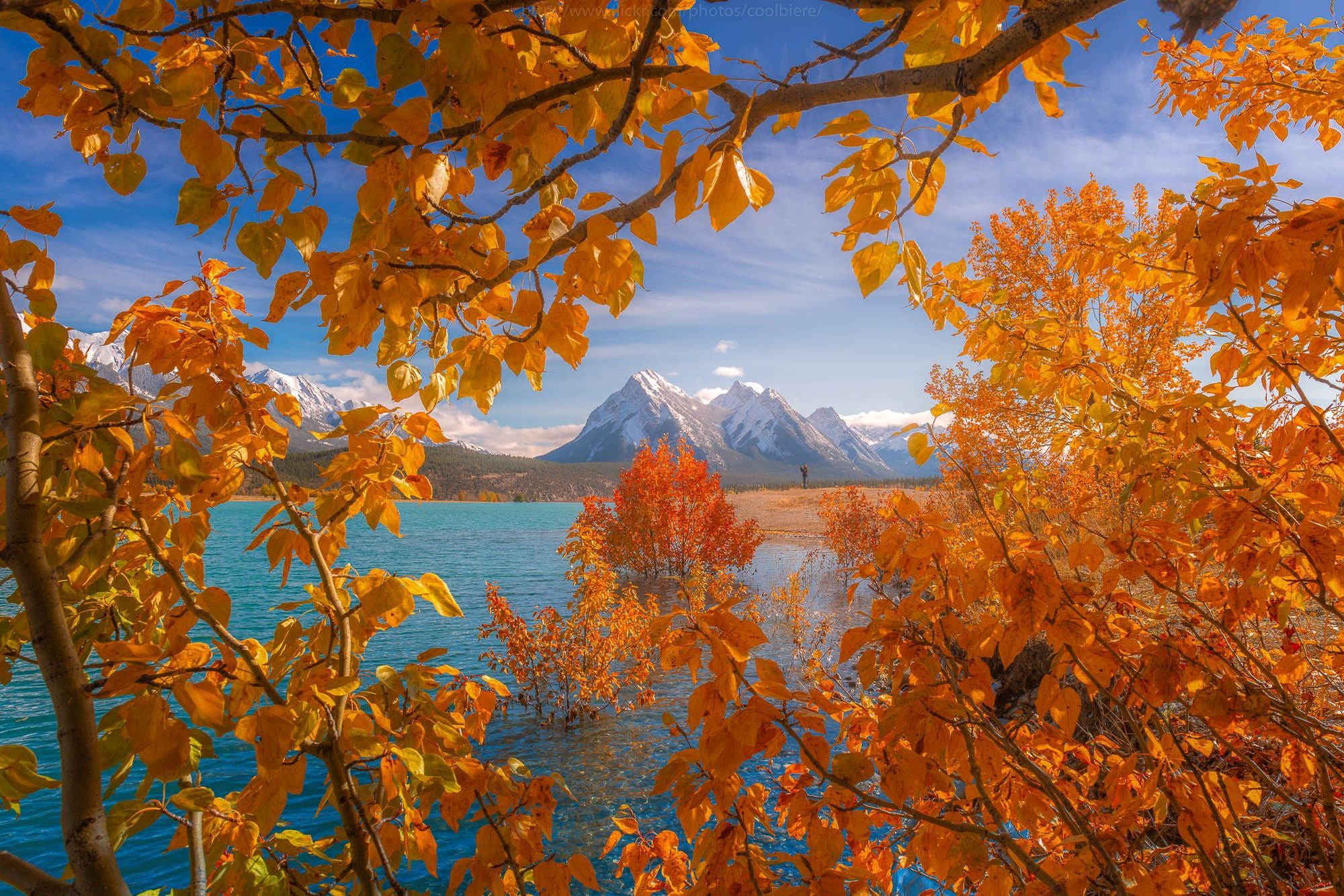 2000x1333 Wallpaper autumn, leaves, trees