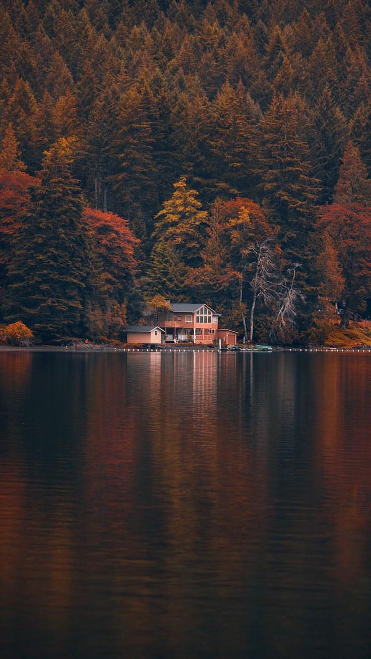 736x1309 HD & 4K Wallpaper for Apple iPhone