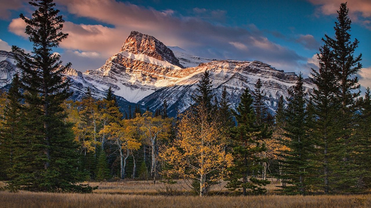 1280x720 Canada Nature Autumn mountain Trees