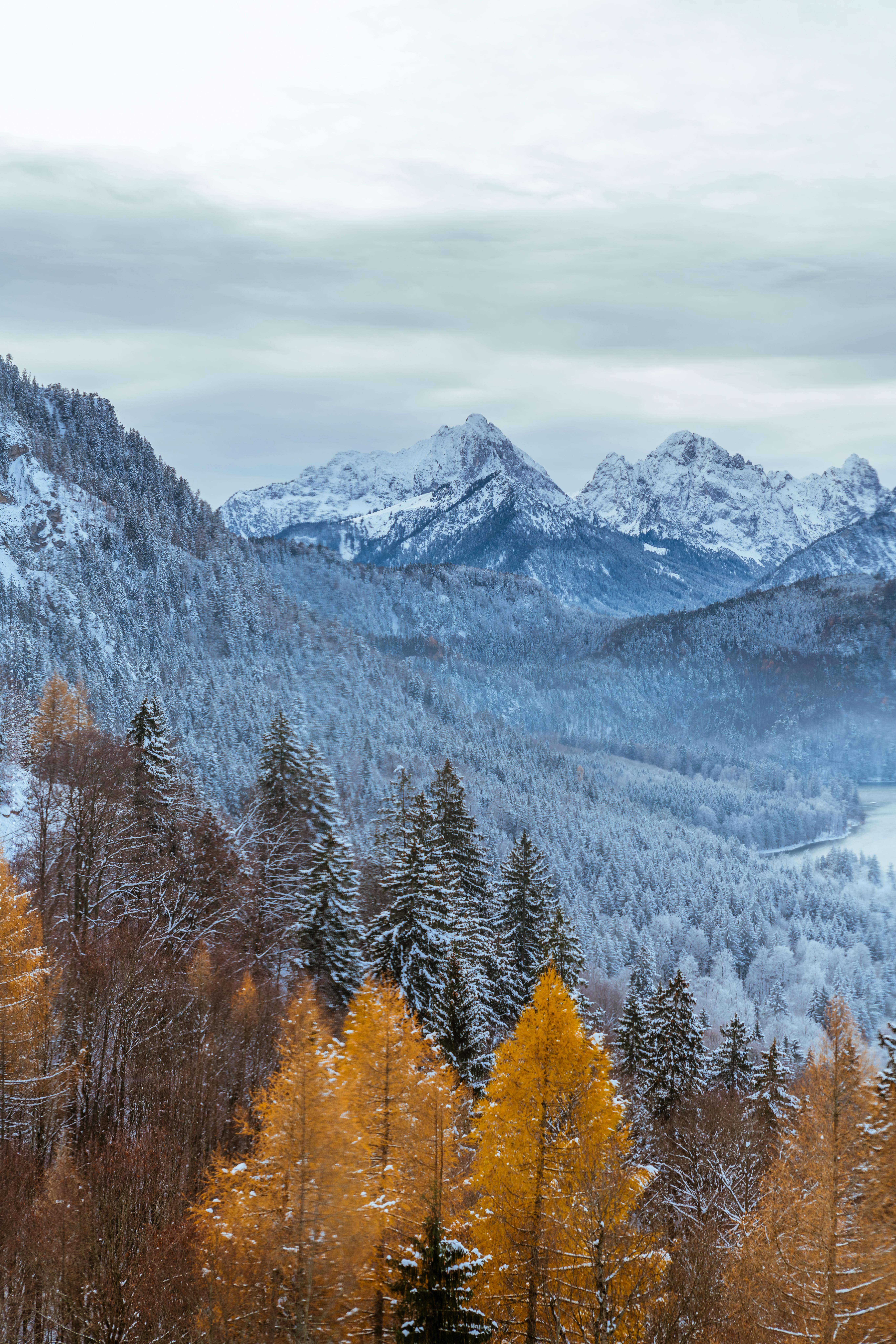 5461x8192 Clouds over Mountains and Autumn Forest