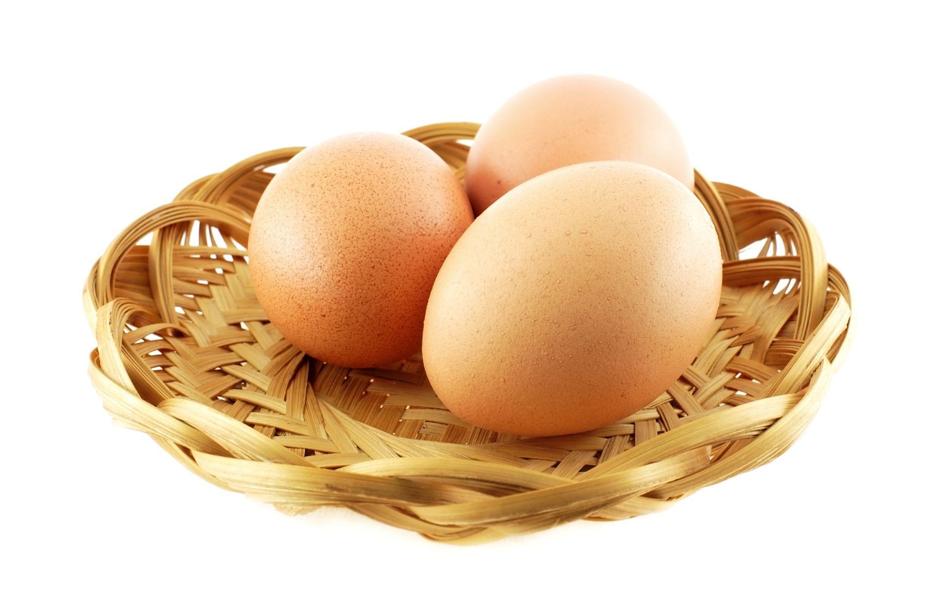 1920x1200 Egg Wallpaper #XYDJH8L
