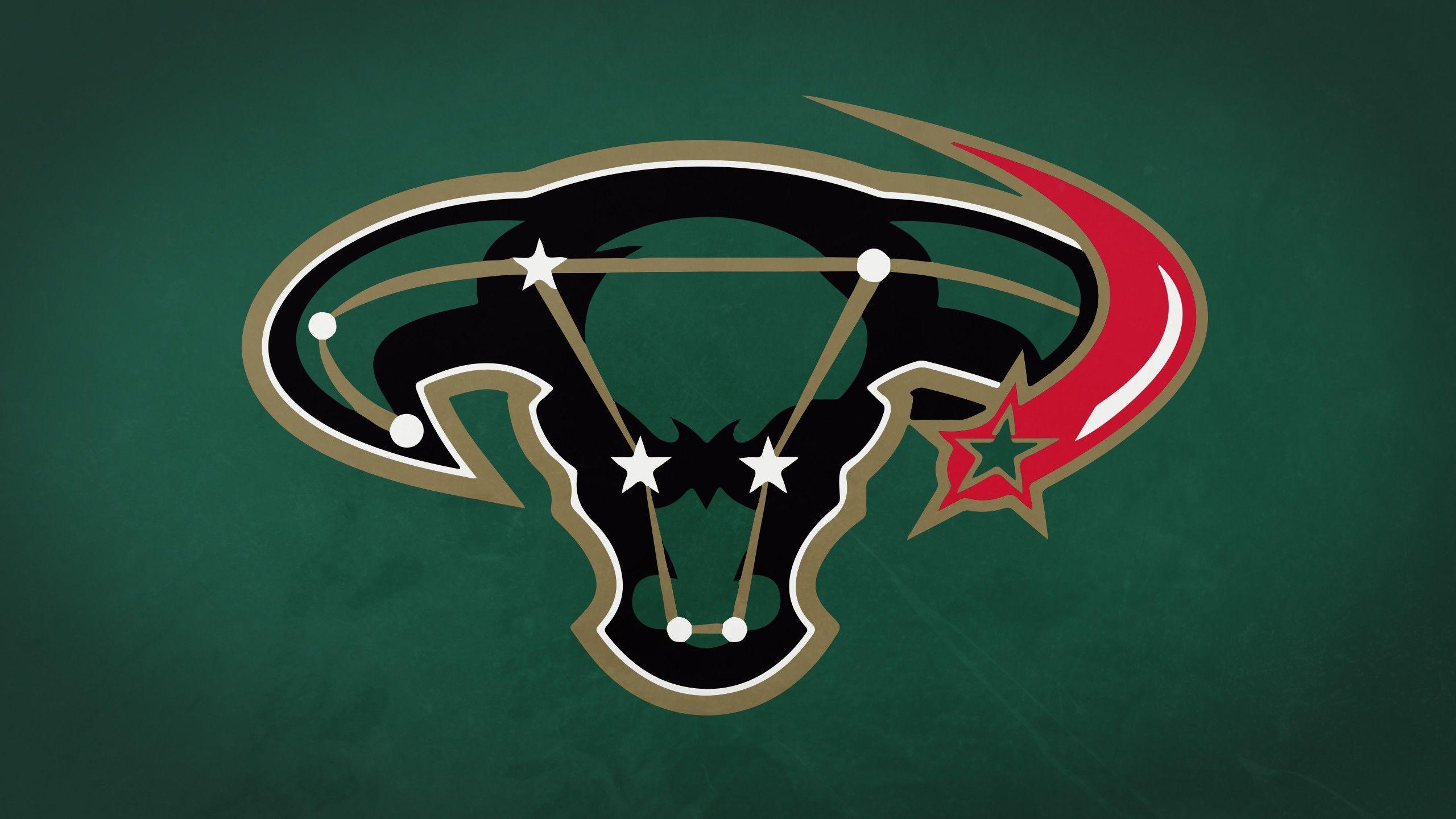 2560x1440 Dallas Stars HD Wallpaper