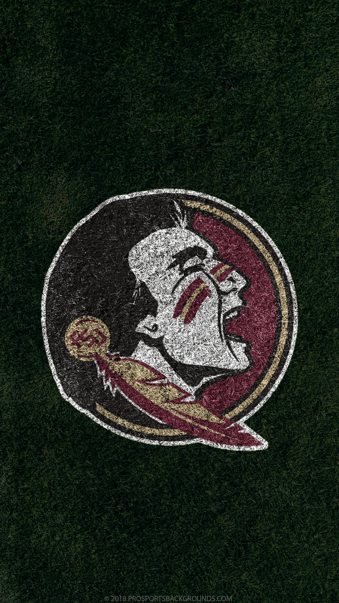 FSU Wallpapers - Top Free FSU Backgrounds - WallpaperAccess