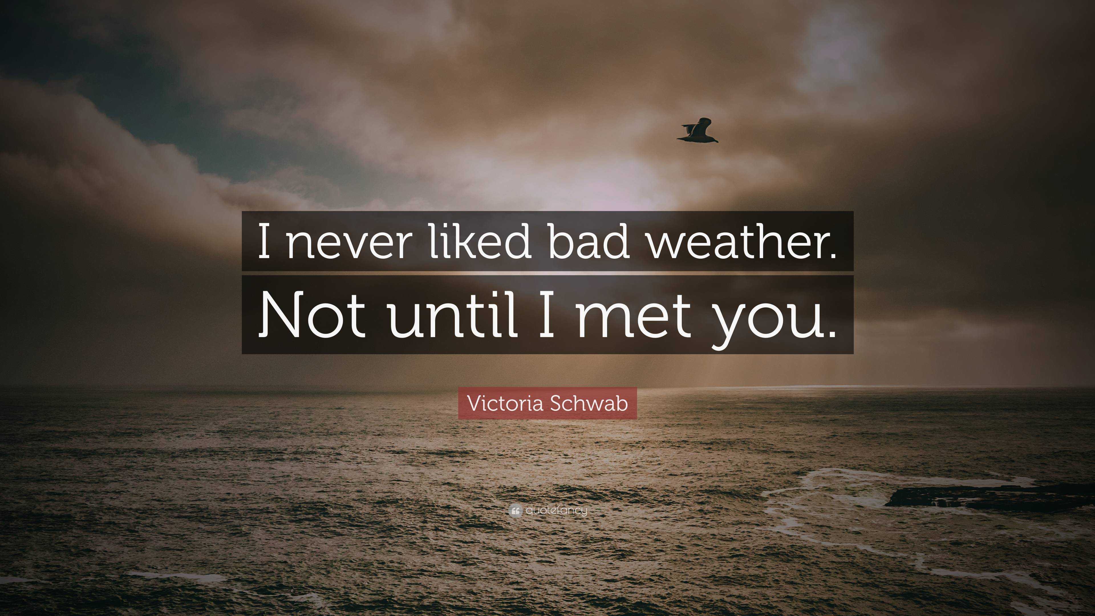 I Never Liked You Wallpapers - Top Free I Never Liked You Backgrounds