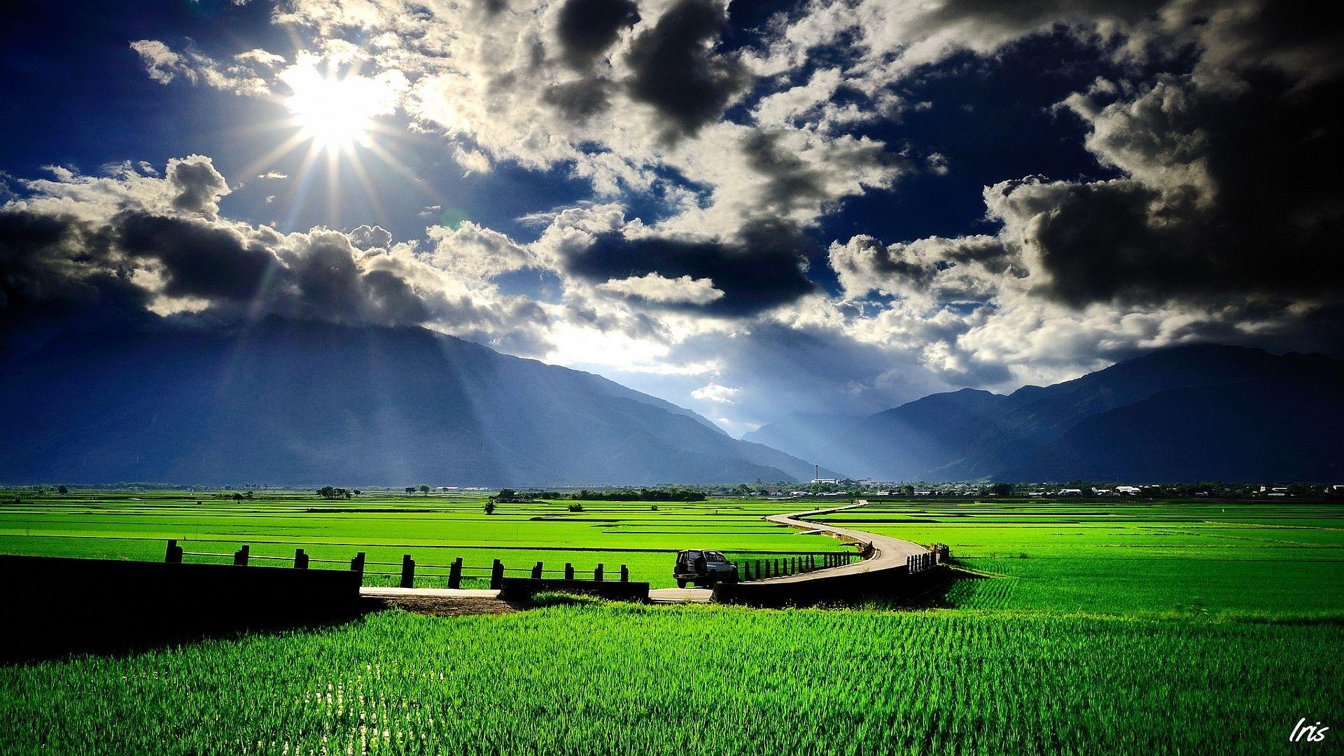 1920x1080 Awesome Field wallpaperx1080