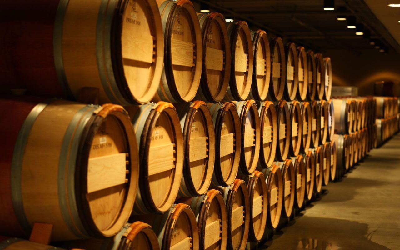 1280x800 K Ultra HD Tequila Wallpaper HD, Desktop Background 1024