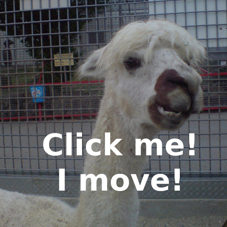894x894 Kawaii Llama Wallpaper