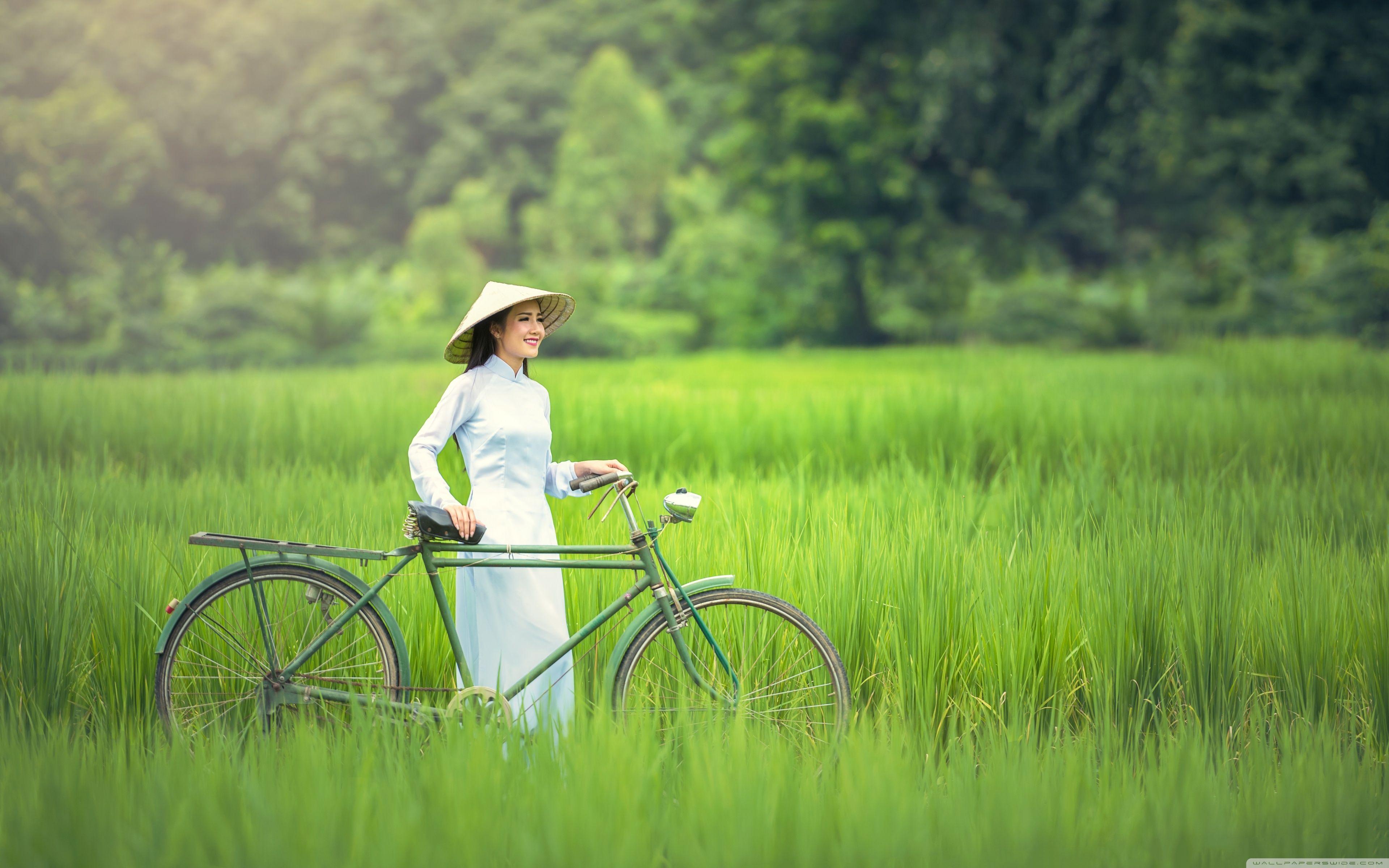 3840x2400 Download Girl, Bicycle, Rice Field Landscape HD Wallpaper