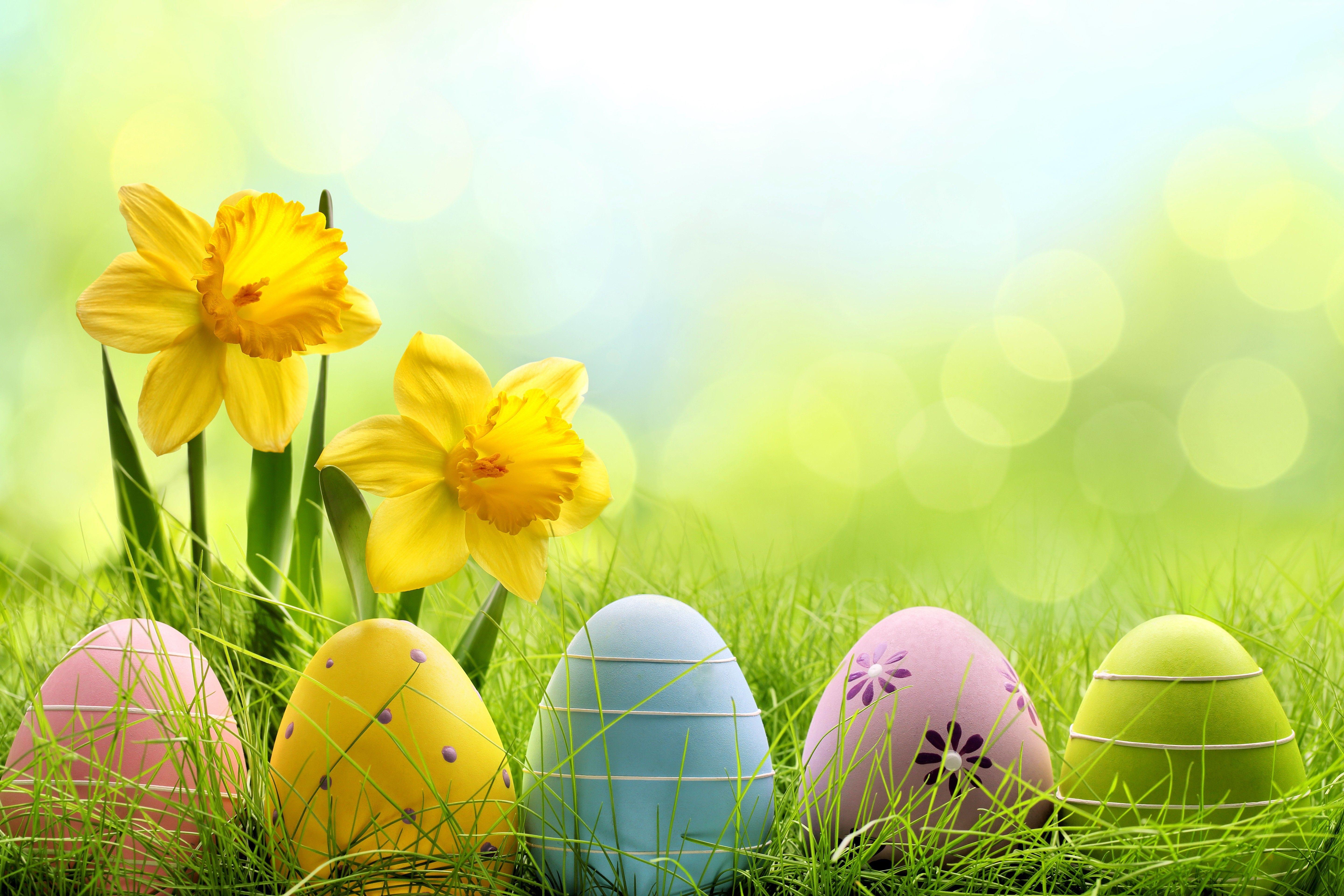 5760x3840 Holiday Easter Egg, HD Celebrations, 4k Wallpaper, Image