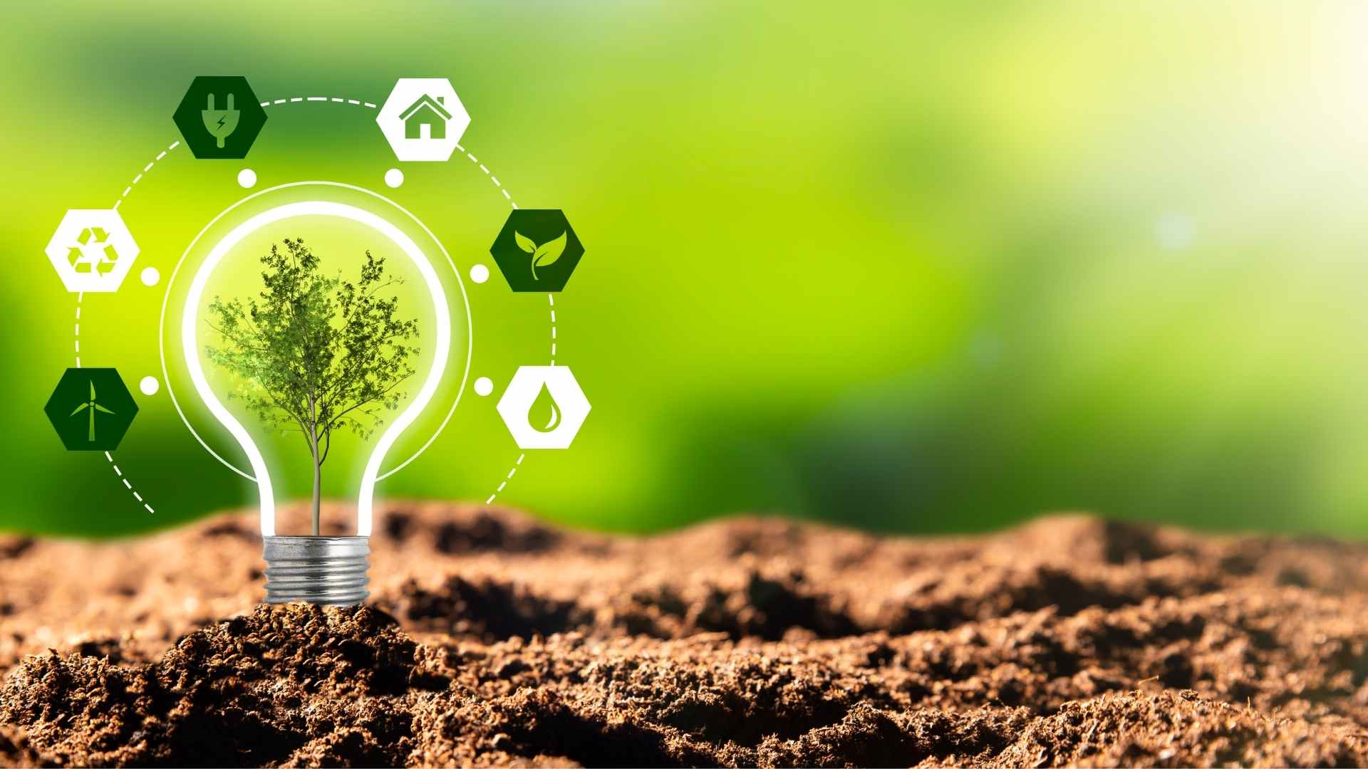 1920x1080 Sustainable Business Model Innovation