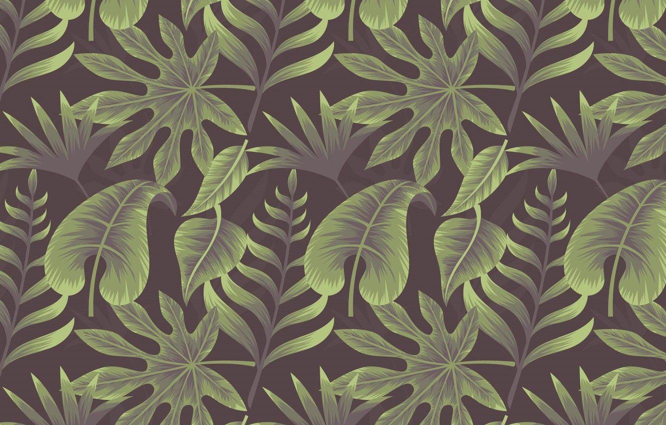 1332x850 Wallpaper background, texture, background, Leaves, Tropical, Plant image for desktop, section текстуры