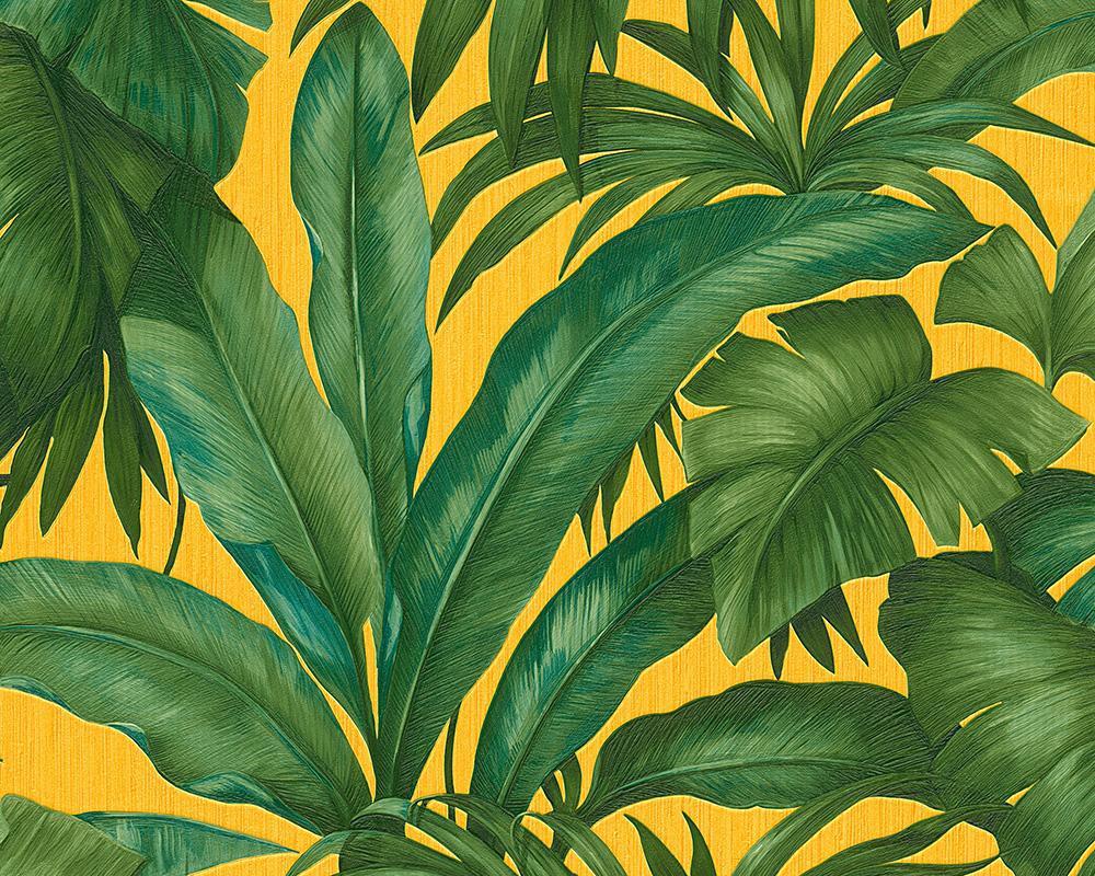 Tropical Wallpaper  Tropical Leaf Wallpaper  Hovia