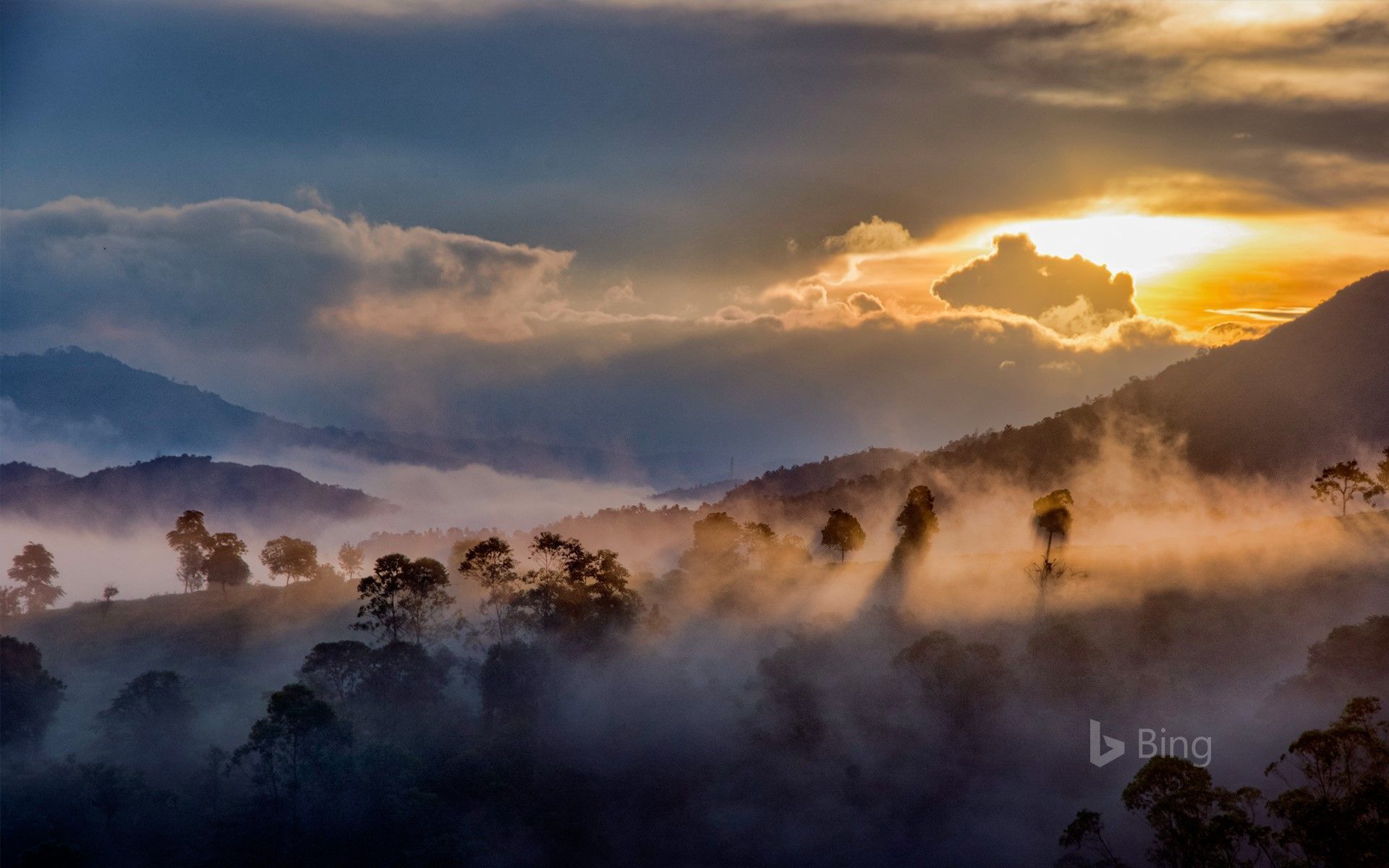1920x1200 Idukki, Western Ghats, Kerala, India