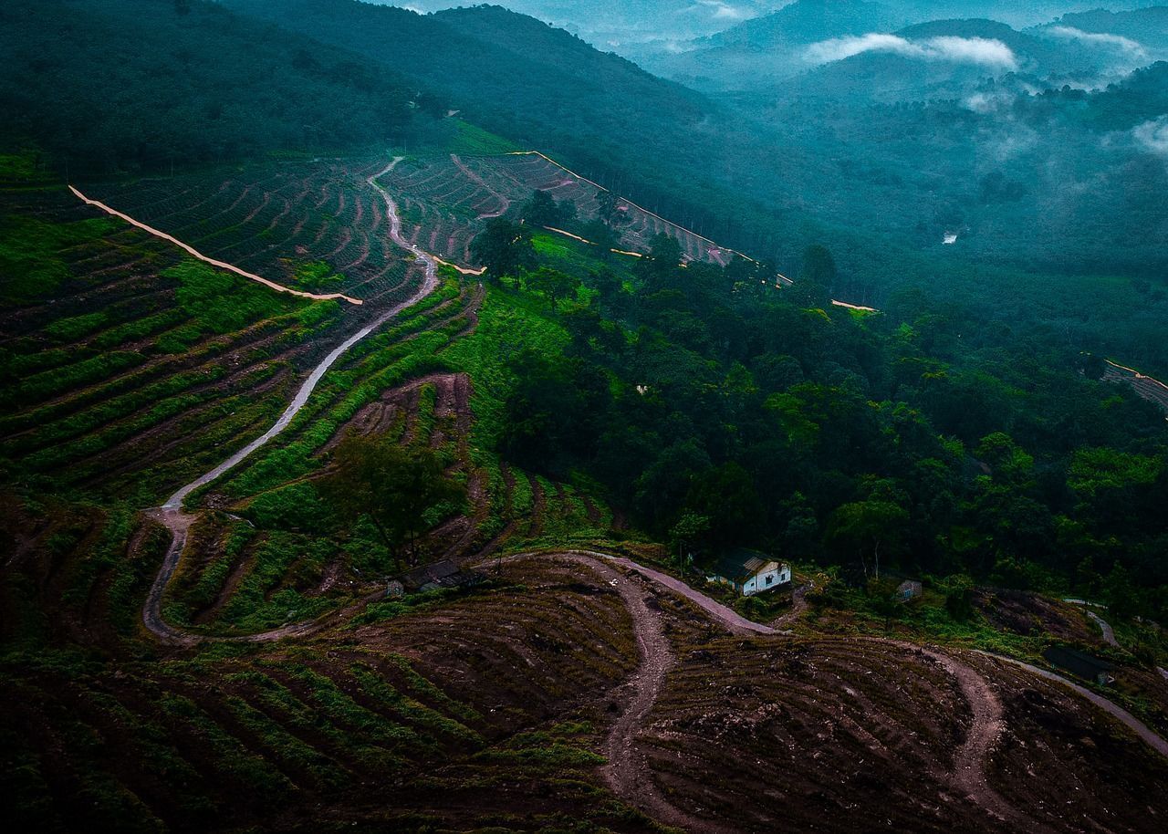 1280x914 Free Idukki & Munnar Image