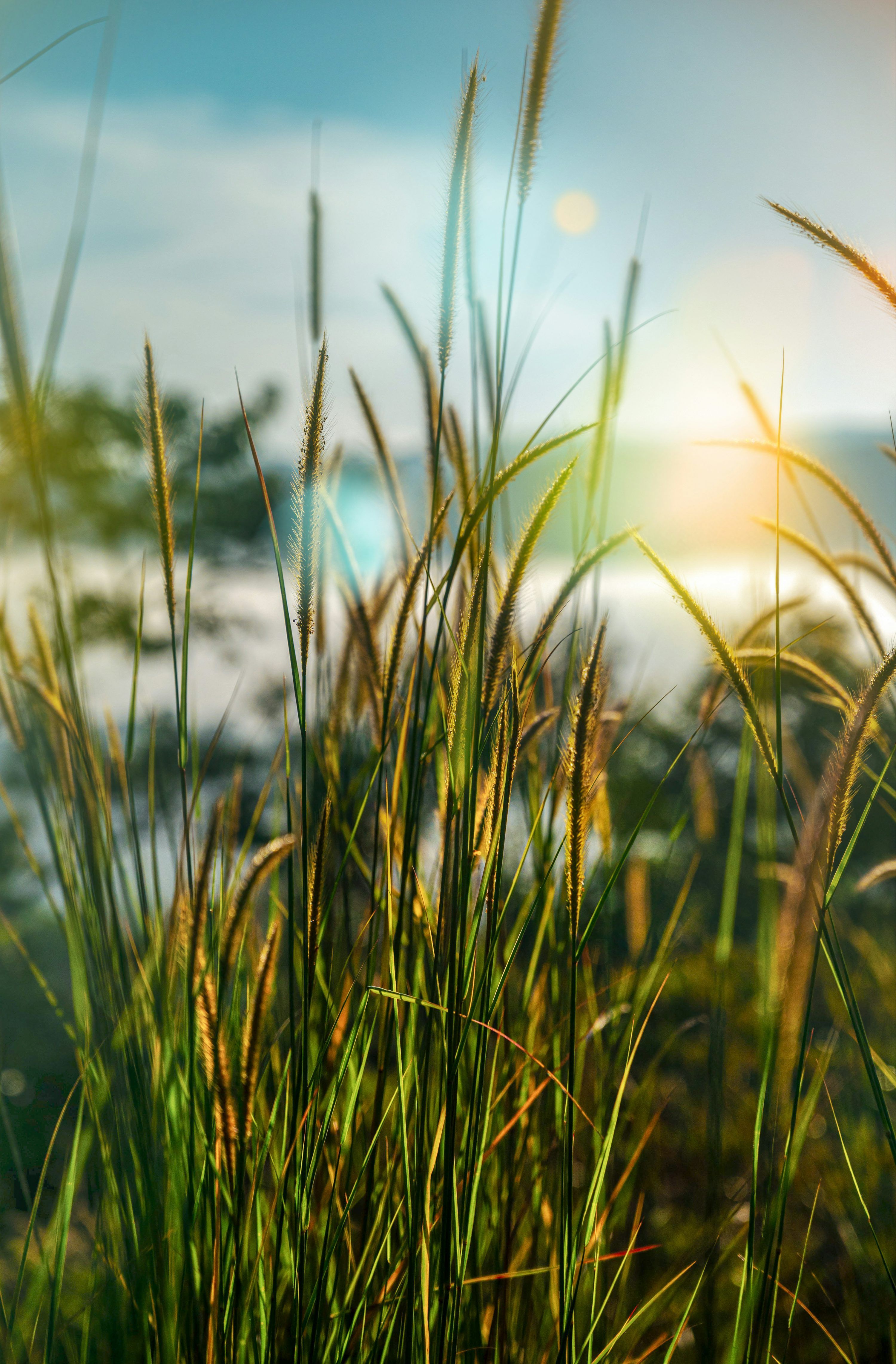 3000x4565 Idukki Picture. Download Free
