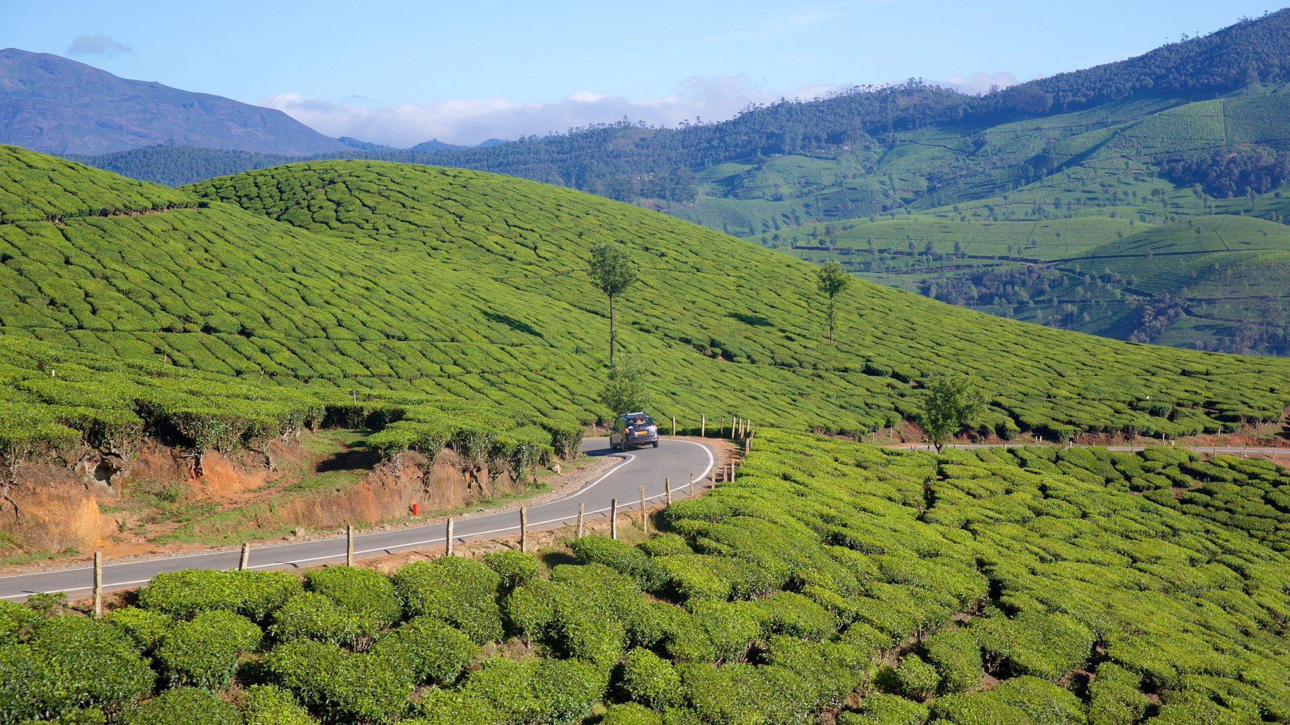 2560x1440 Travel Guide for Idukki, Kerala