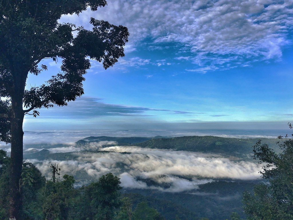 1024x768 A morning in Urumbikkara, Idukki. Lim