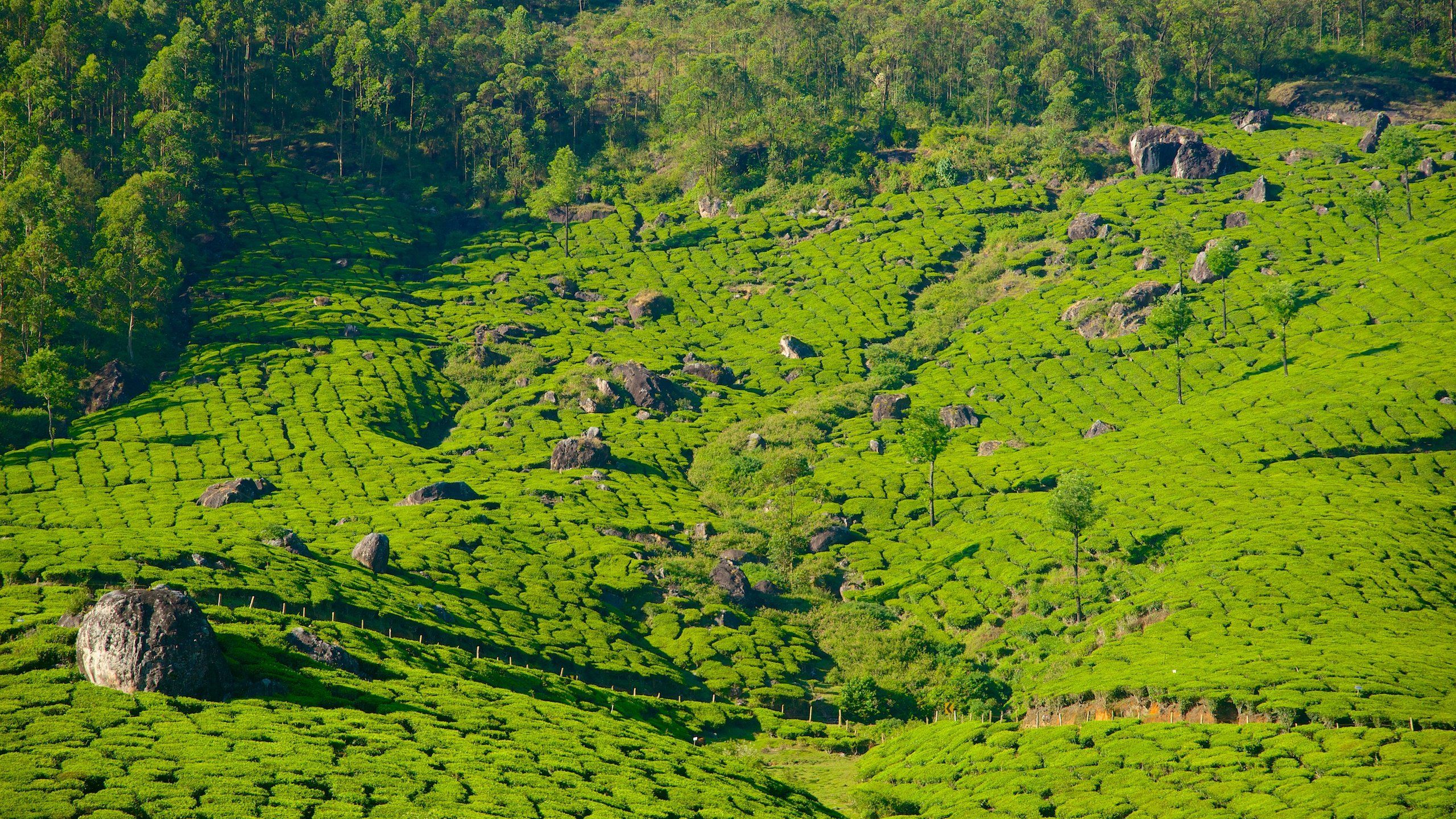 2560x1440 Travel Guide for Idukki District