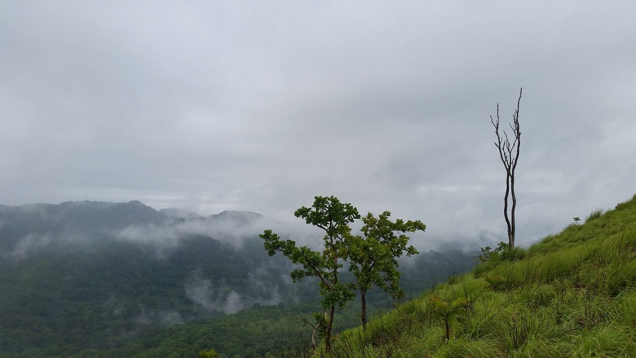 1280x720 Free Idukki & Munnar Image
