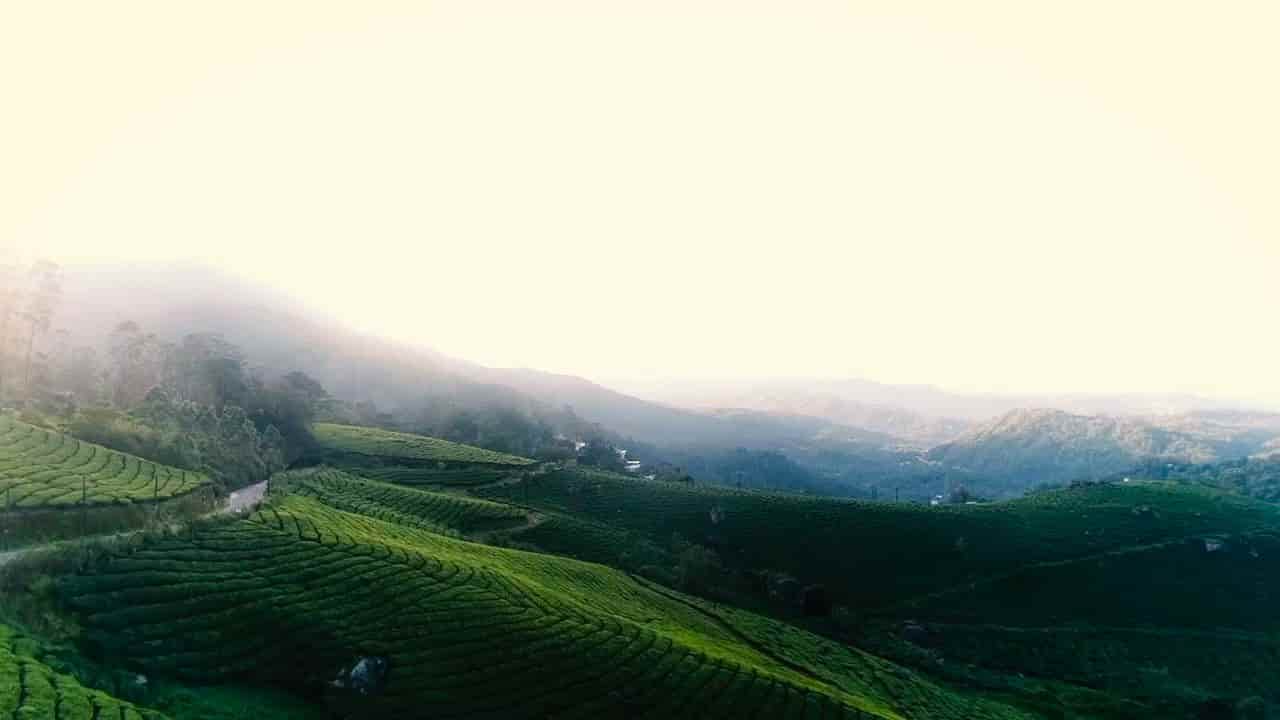 1280x720 Book Misty Range Resorts in Near