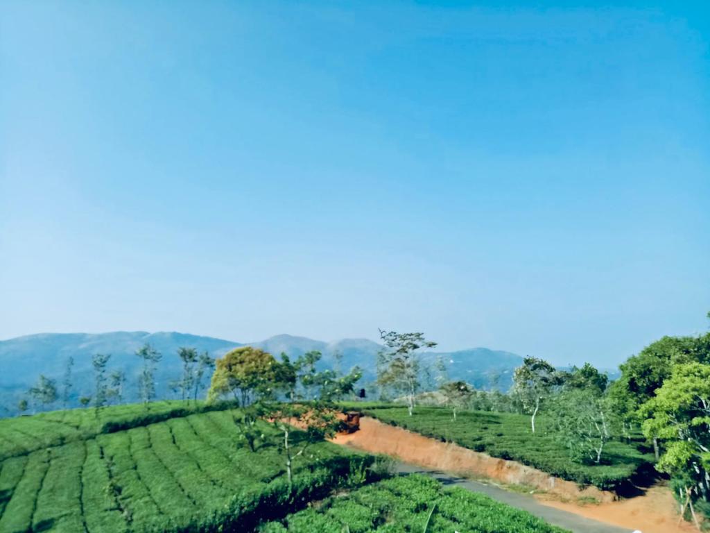 1024x768 Best Mist, Idukki (updated prices 2024)