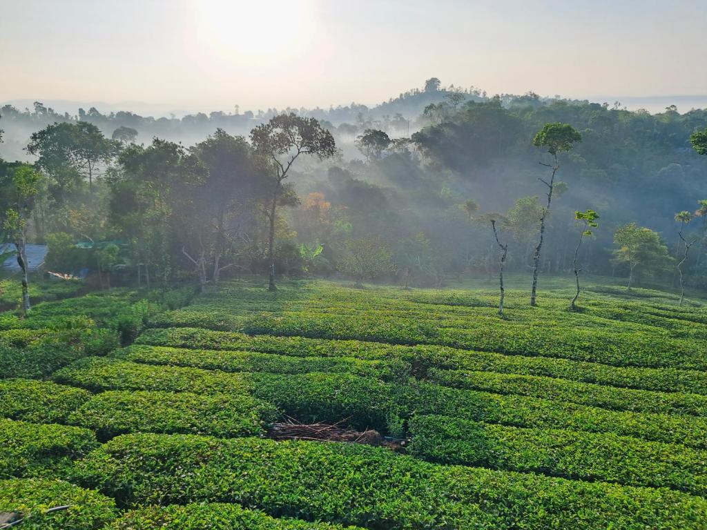 1024x768 Best Mist, Idukki (updated prices 2024)