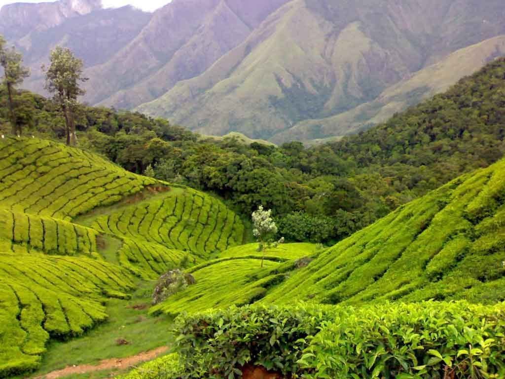 1024x768 Music of Vagamon