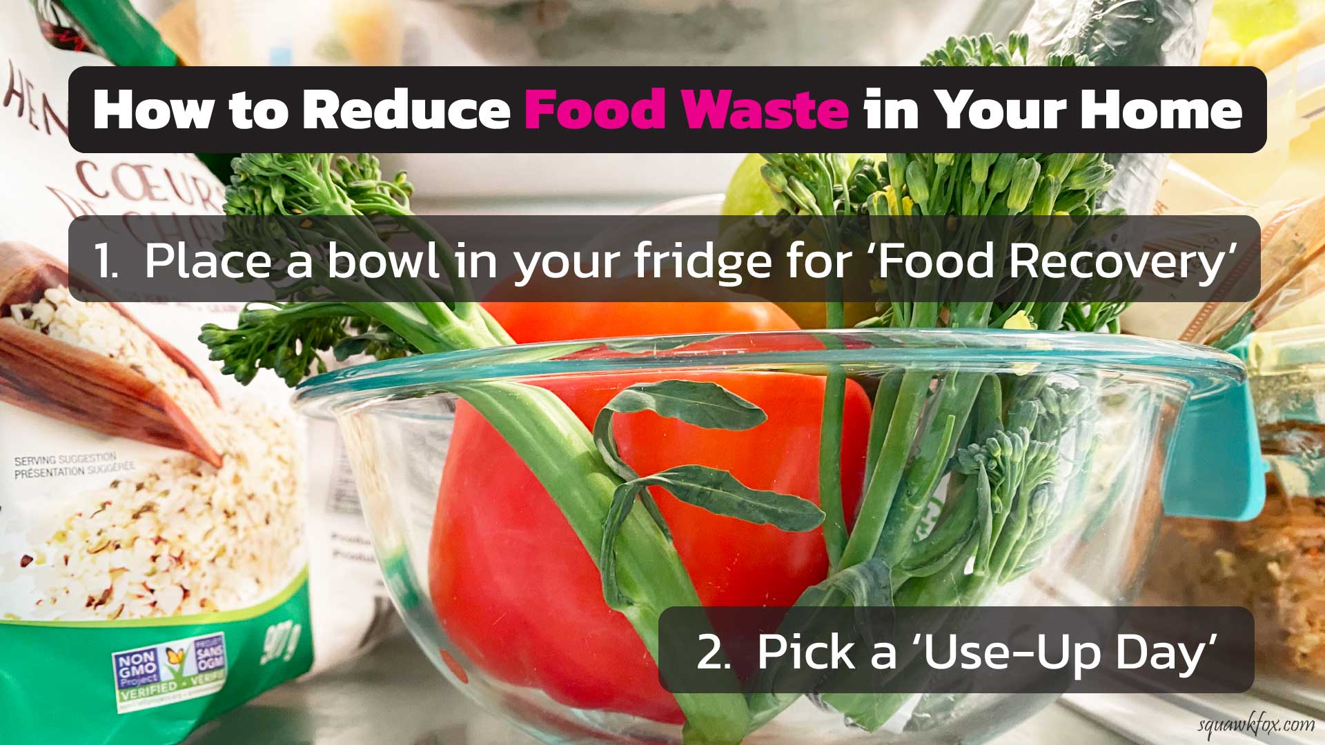 1920x1080 How to Prevent Food Waste and save $1
