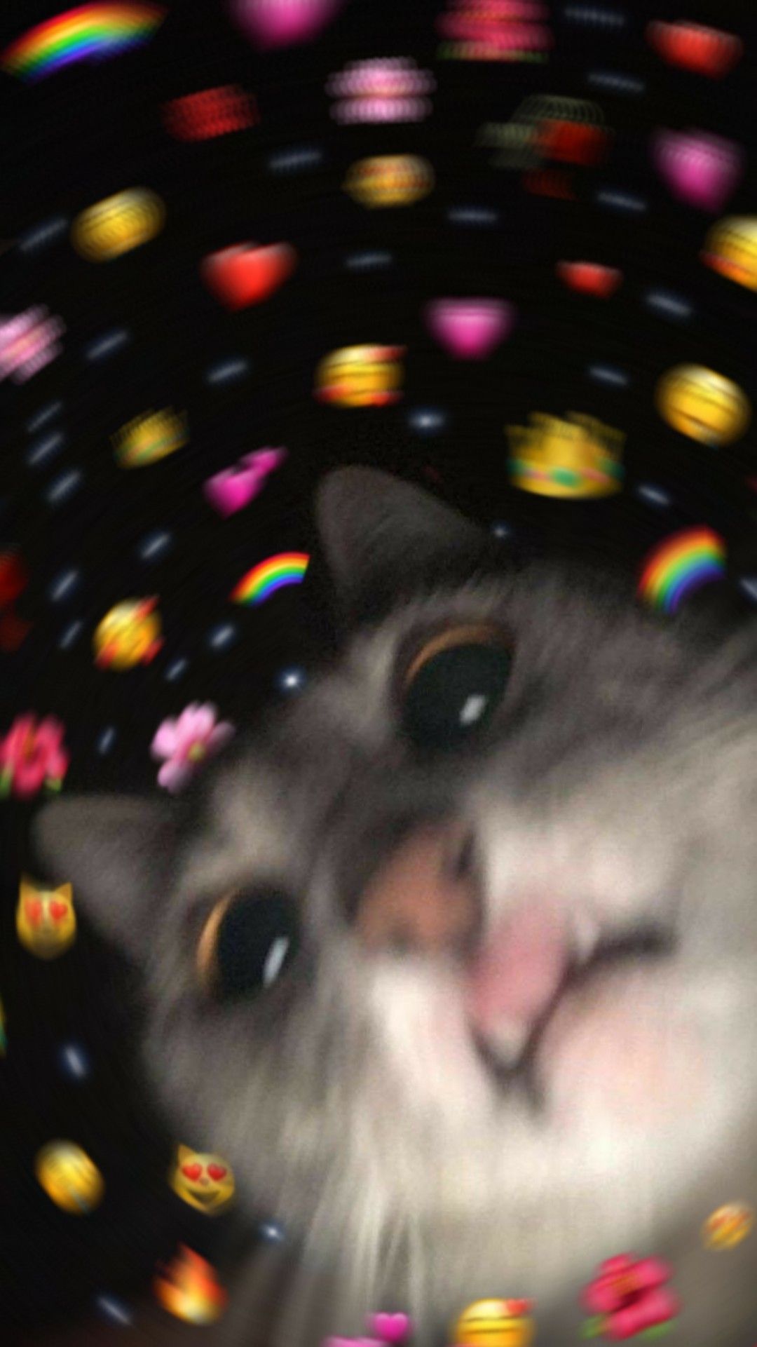 1080x1921 Wallpaper kucing lucu, lock screen