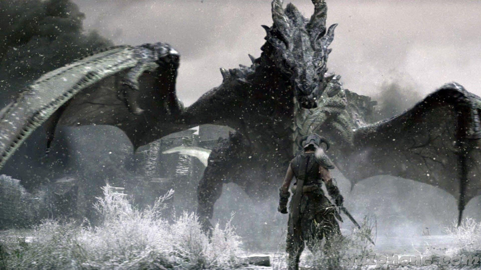 1920x1080 Skyrim Dragon Wallpaper background picture