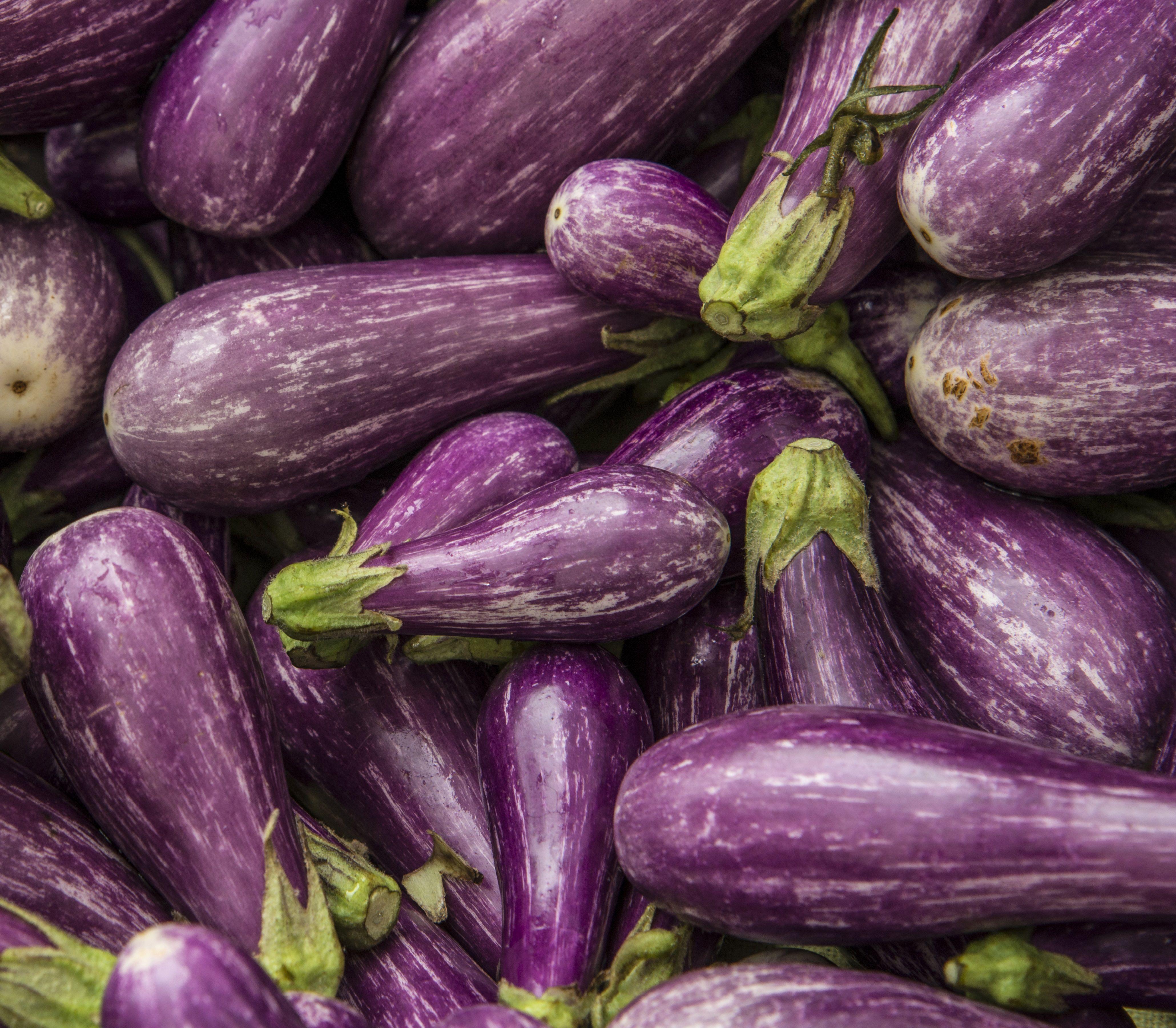 Eggplant Wallpapers - Top Free Eggplant Backgrounds - WallpaperAccess