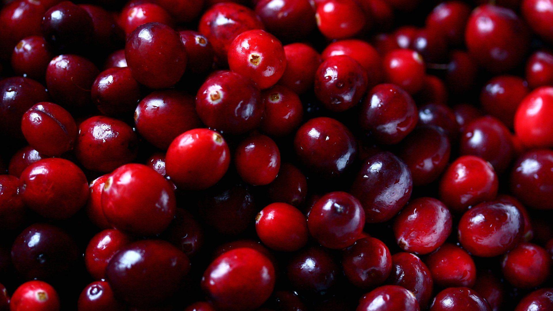 Cranberry Wallpapers - Top Free Cranberry Backgrounds - WallpaperAccess