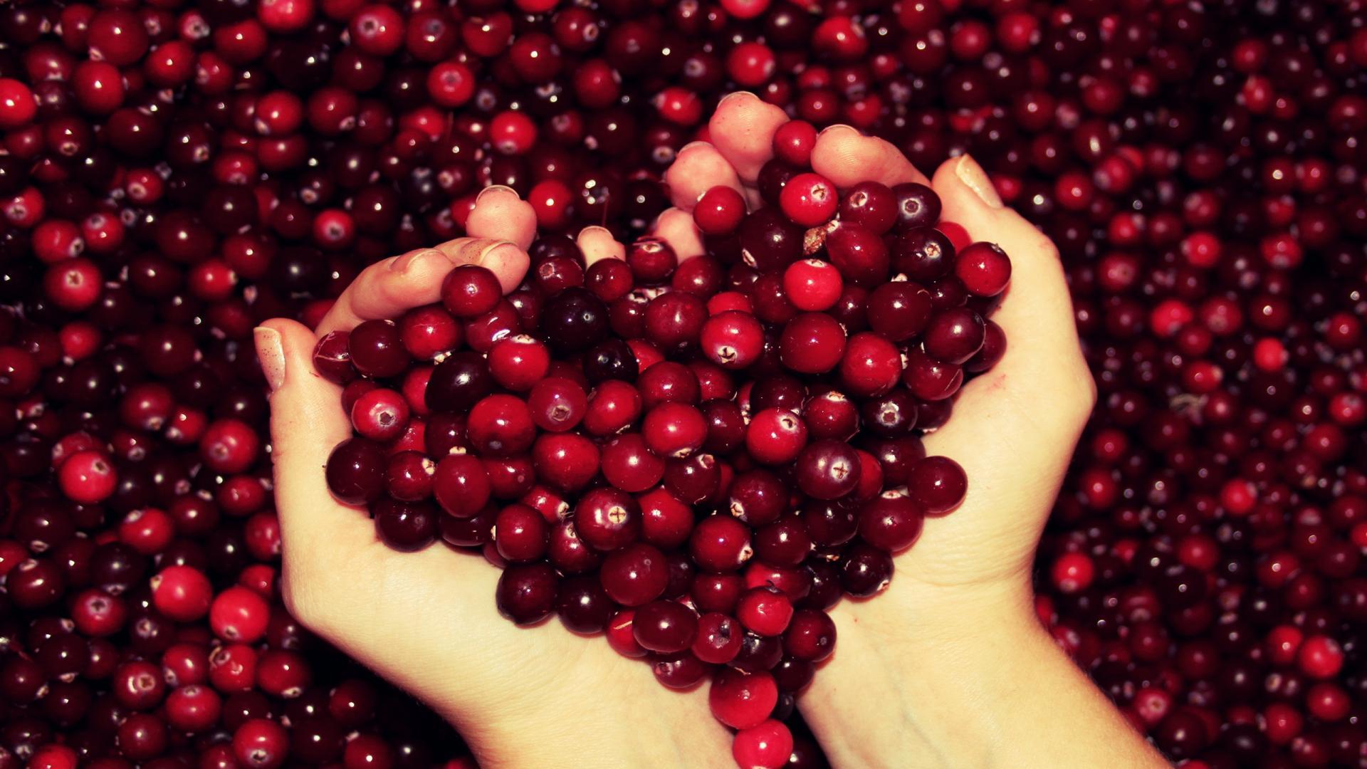 Cranberry Wallpapers - Top Free Cranberry Backgrounds - WallpaperAccess