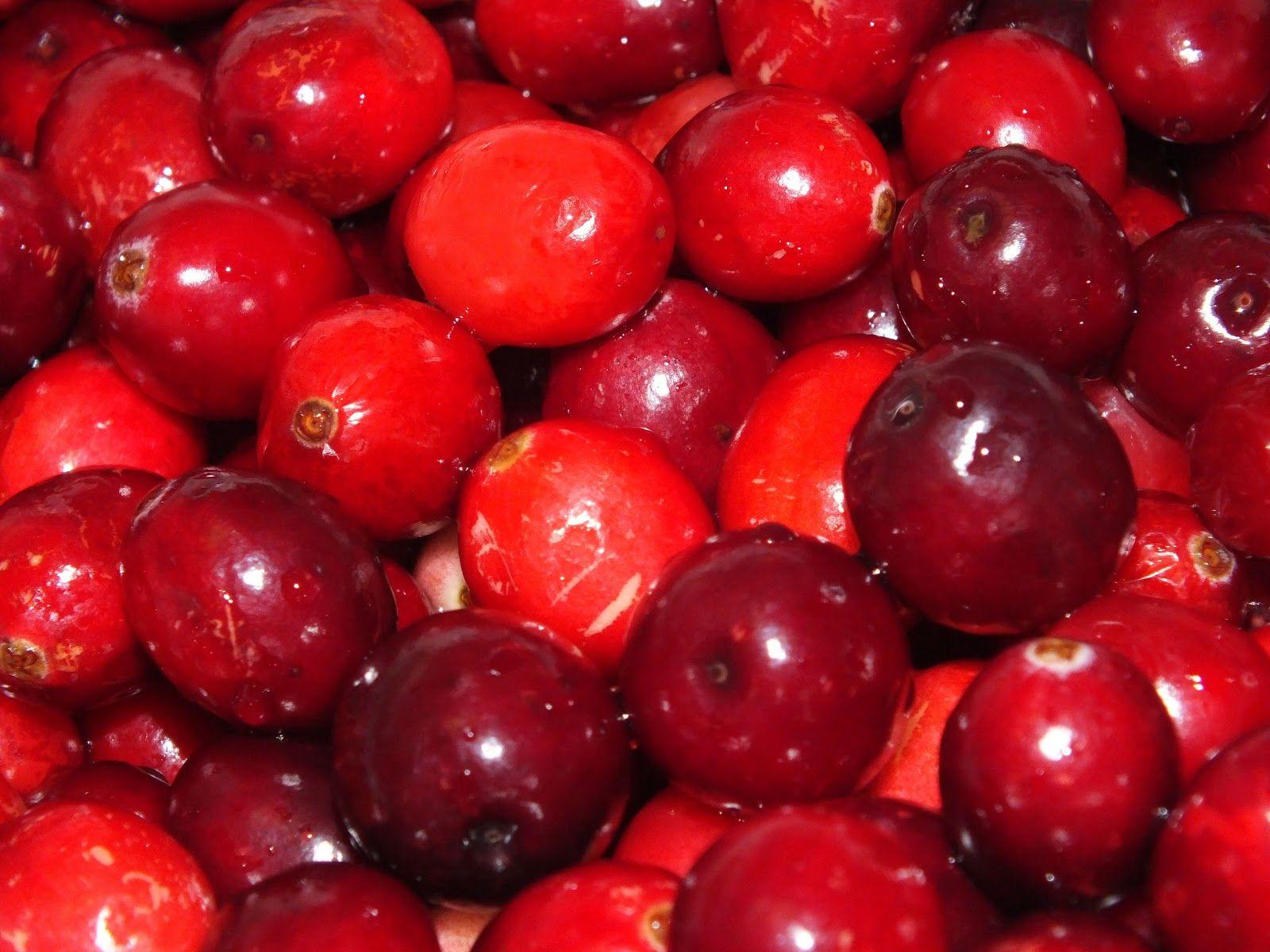 Cranberry Escorts