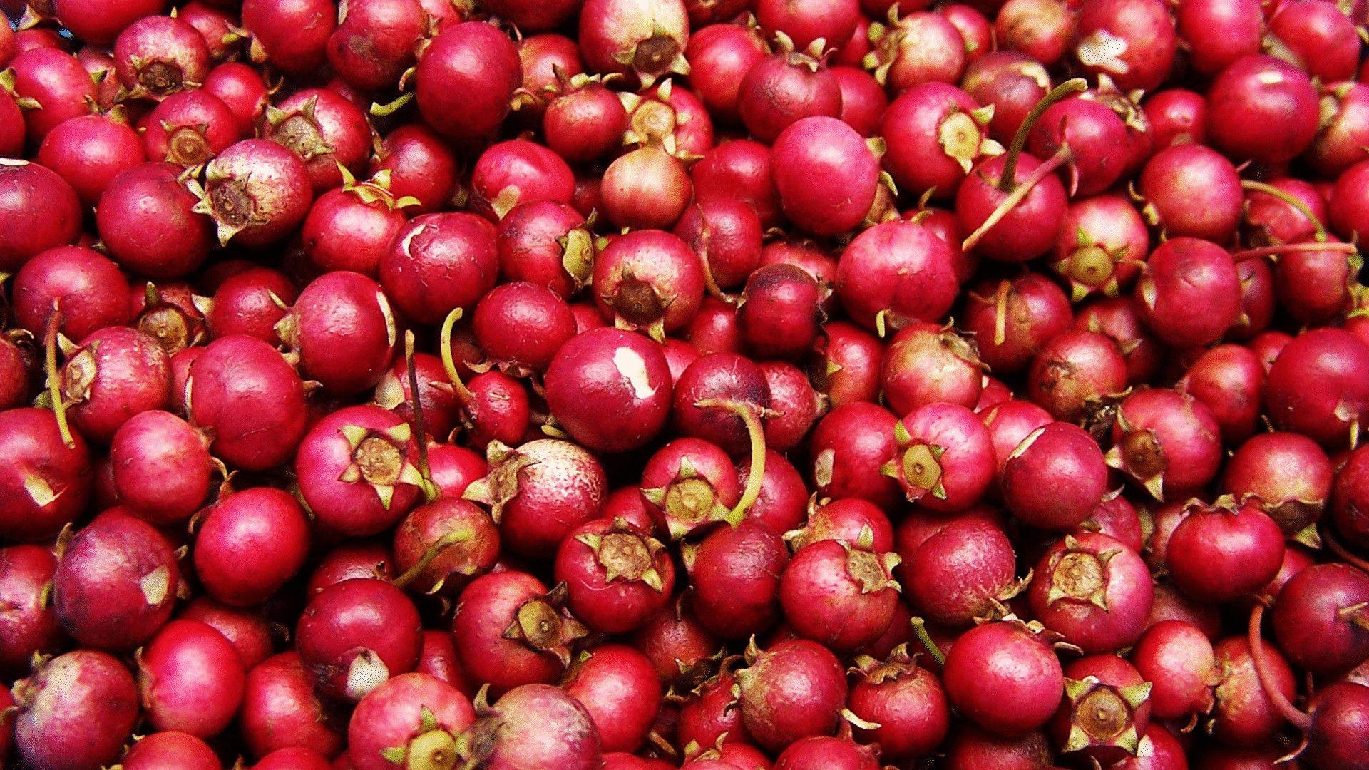 Cranberry Wallpapers Top Free Cranberry Backgrounds WallpaperAccess