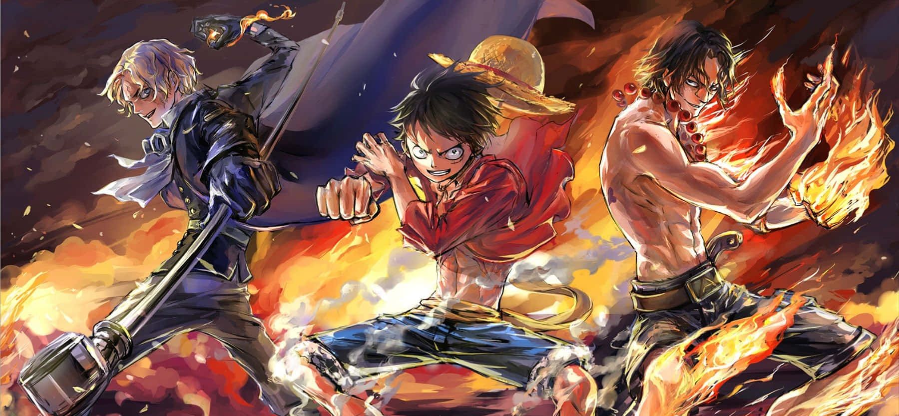 1800x833 Download One Piece Trio Picture