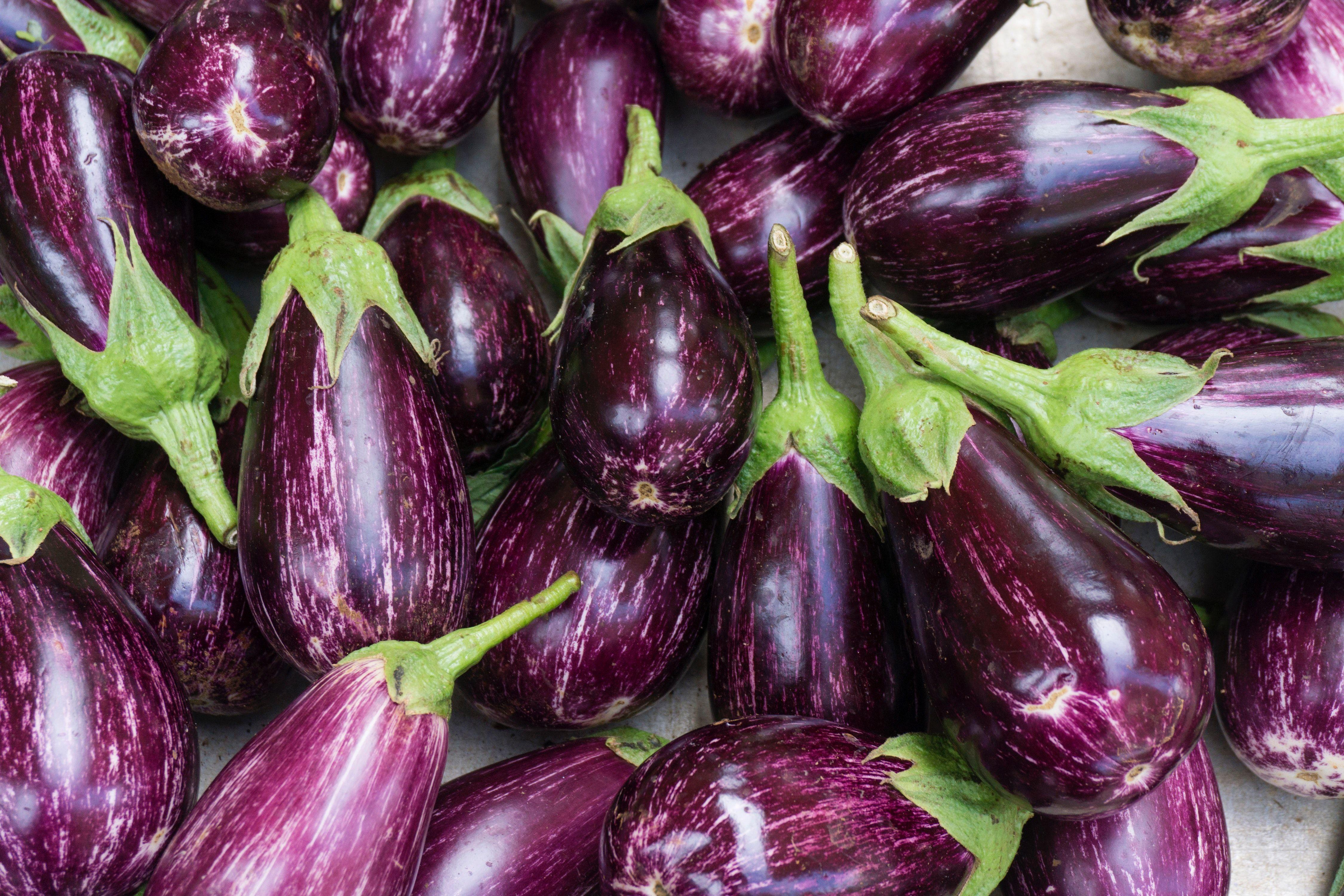 Eggplant Wallpapers - Top Free Eggplant Backgrounds - WallpaperAccess