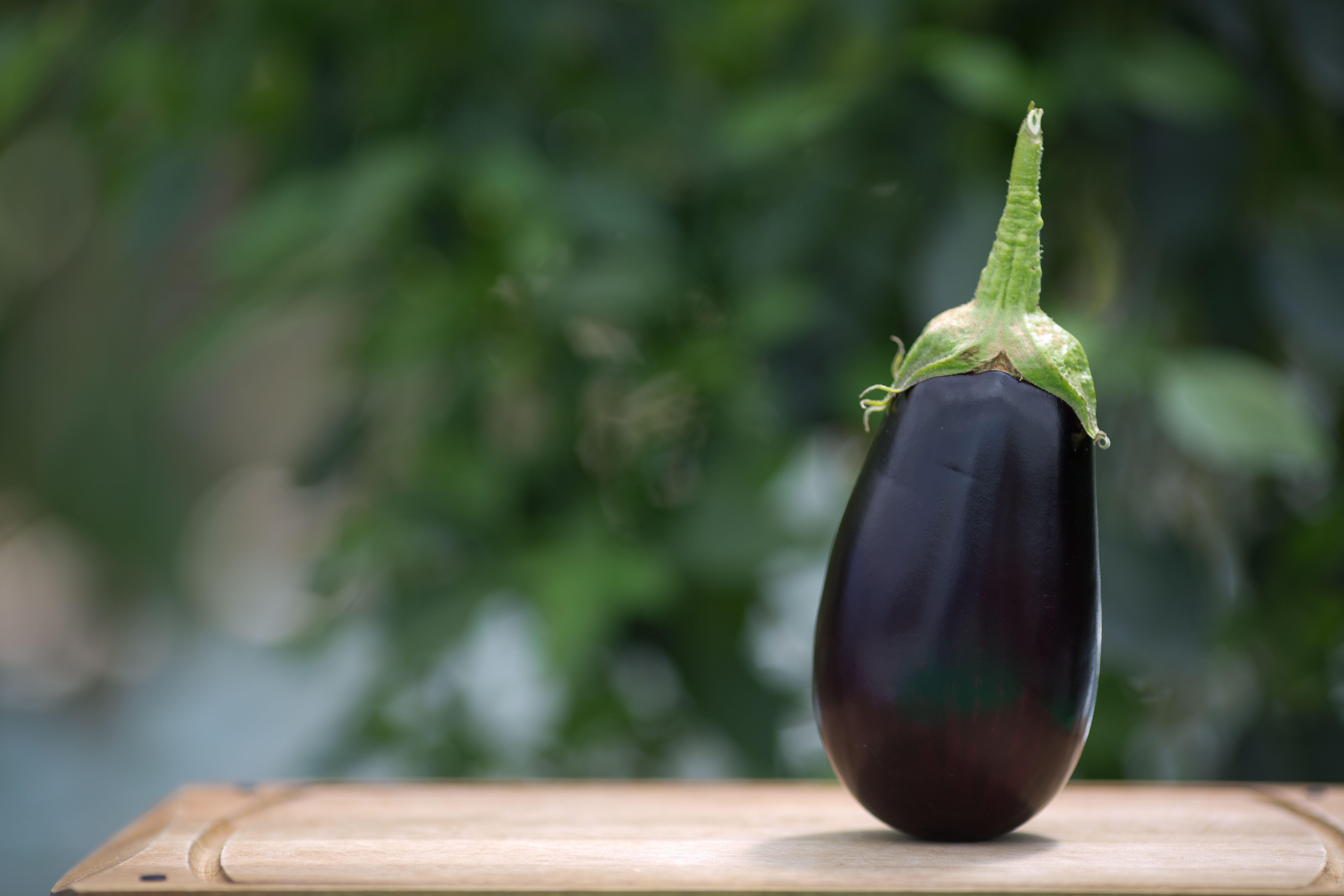 Eggplant Wallpapers - Top Free Eggplant Backgrounds - WallpaperAccess