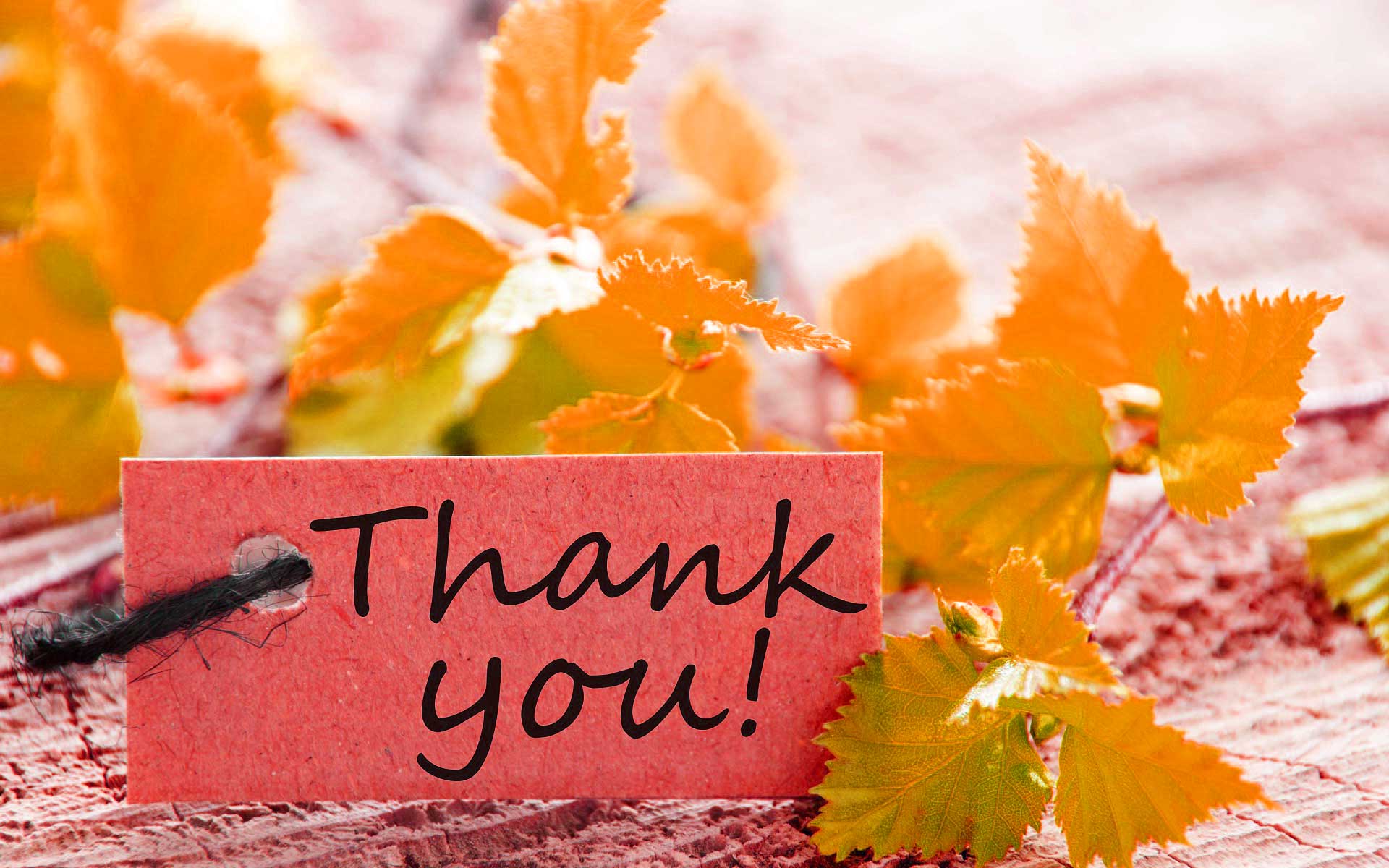 1920x1200 Thank You For Listening Wallpaper