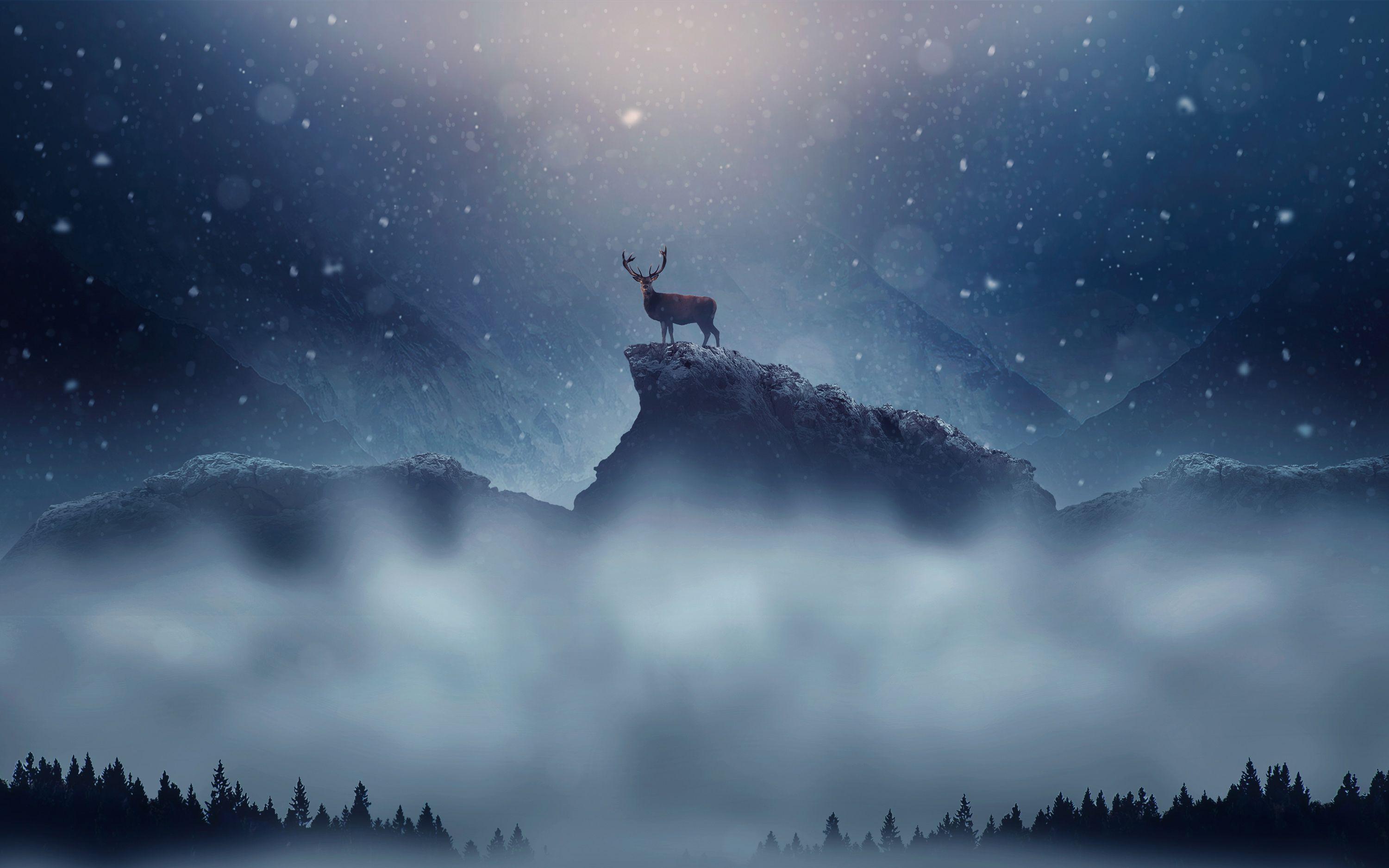 3000x1875 Christmas Deer Snowfall Wallpaper